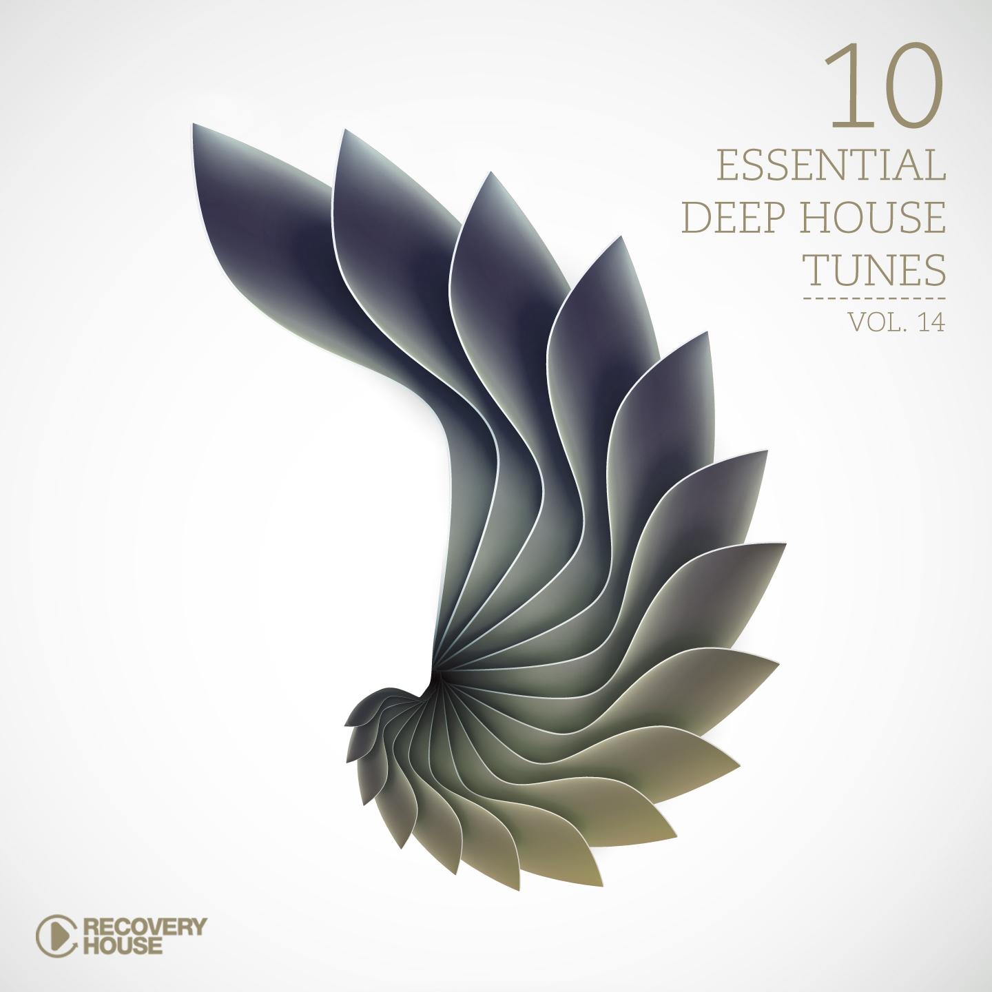 Постер альбома 10 Essential Deep House Tunes-, Vol. 14