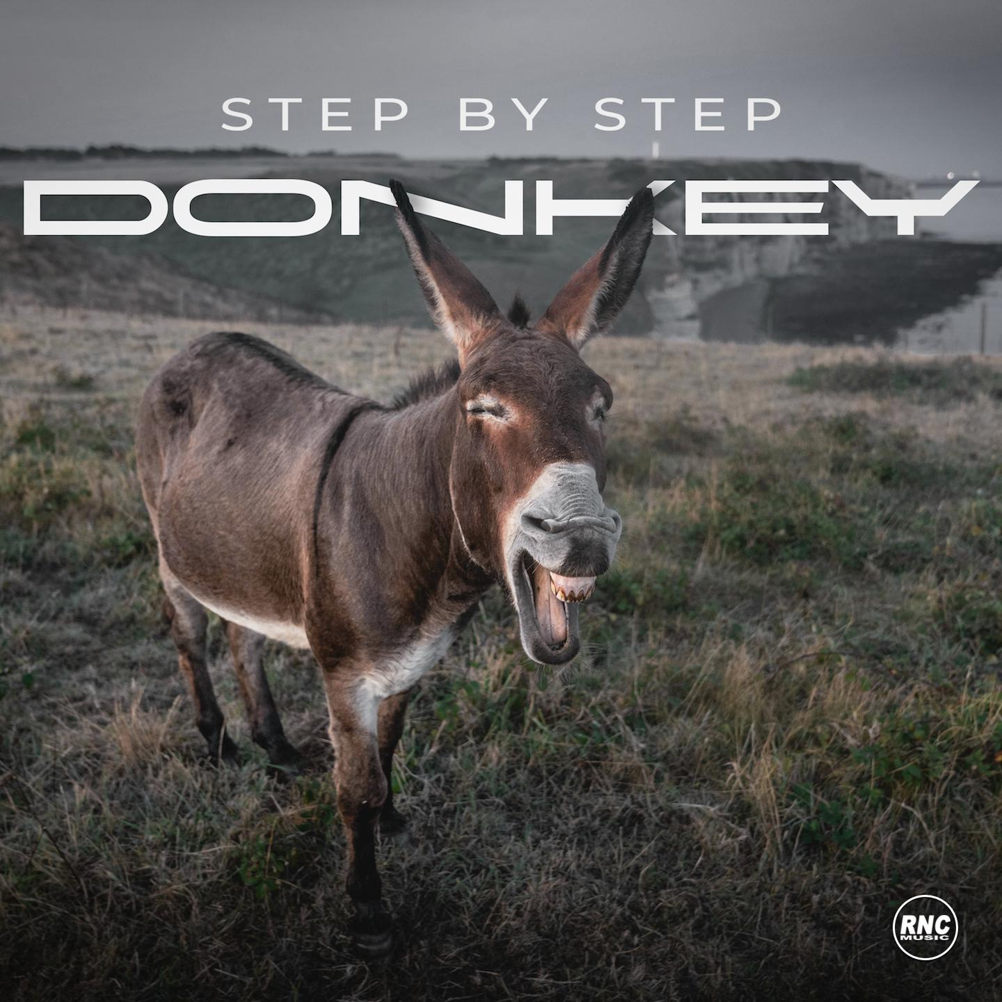 Постер альбома Donkey