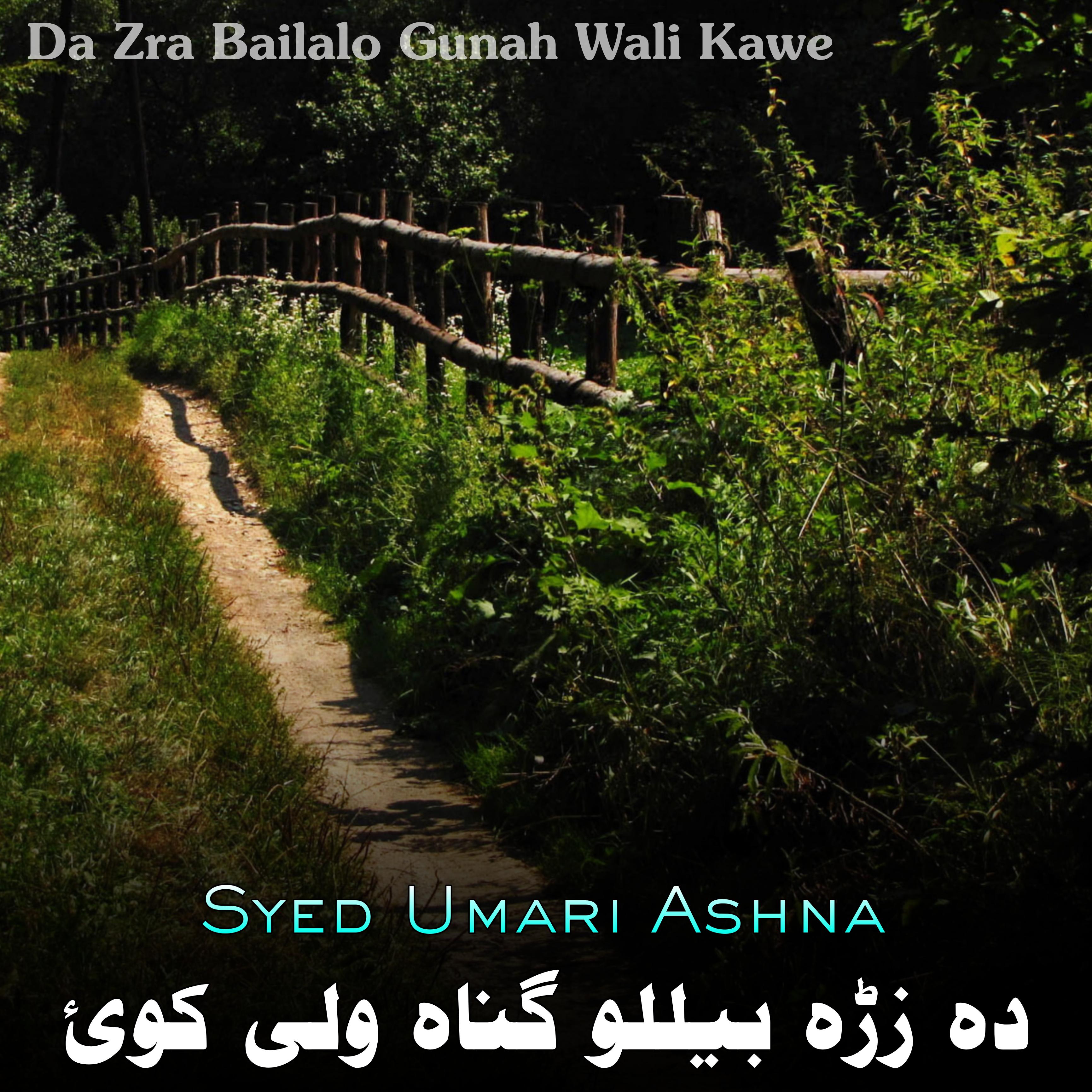 Постер альбома Da Zra Bailalo Gunah Wali Kawe