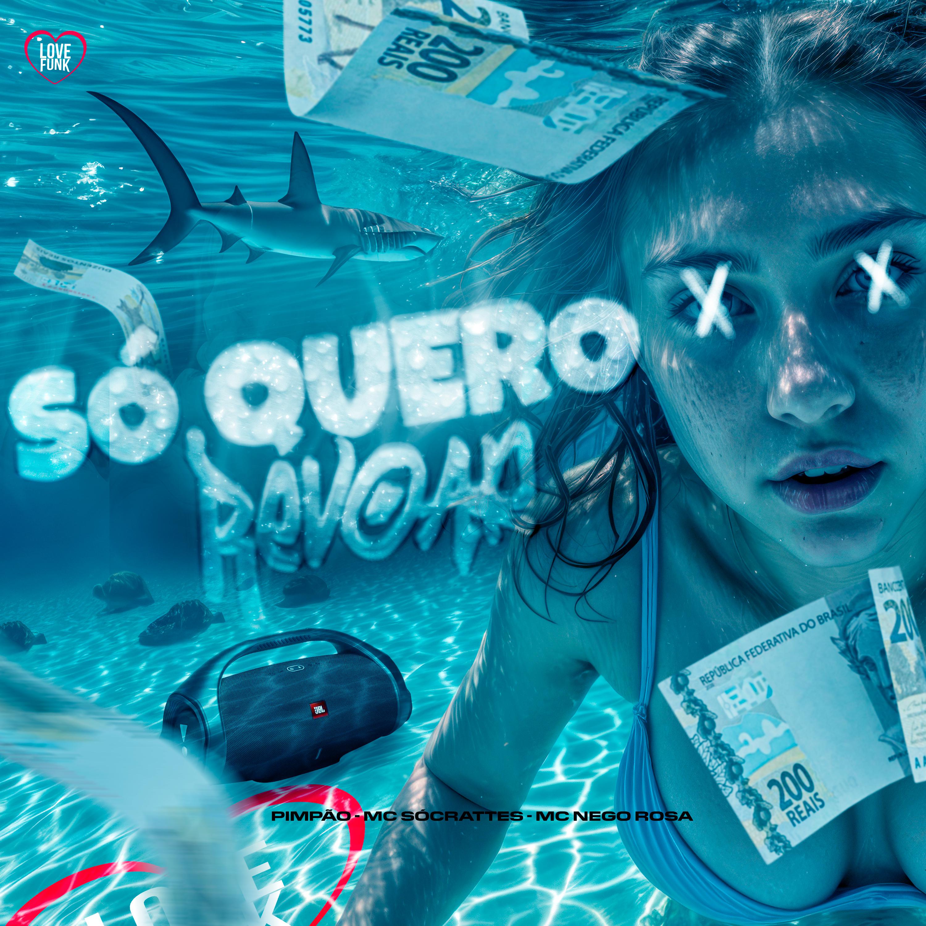 Постер альбома Só Quero Revoar