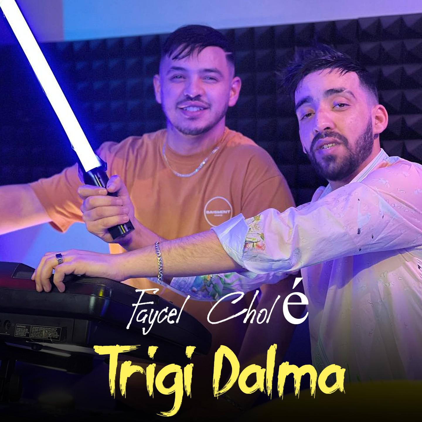 Постер альбома Trigi Dalma