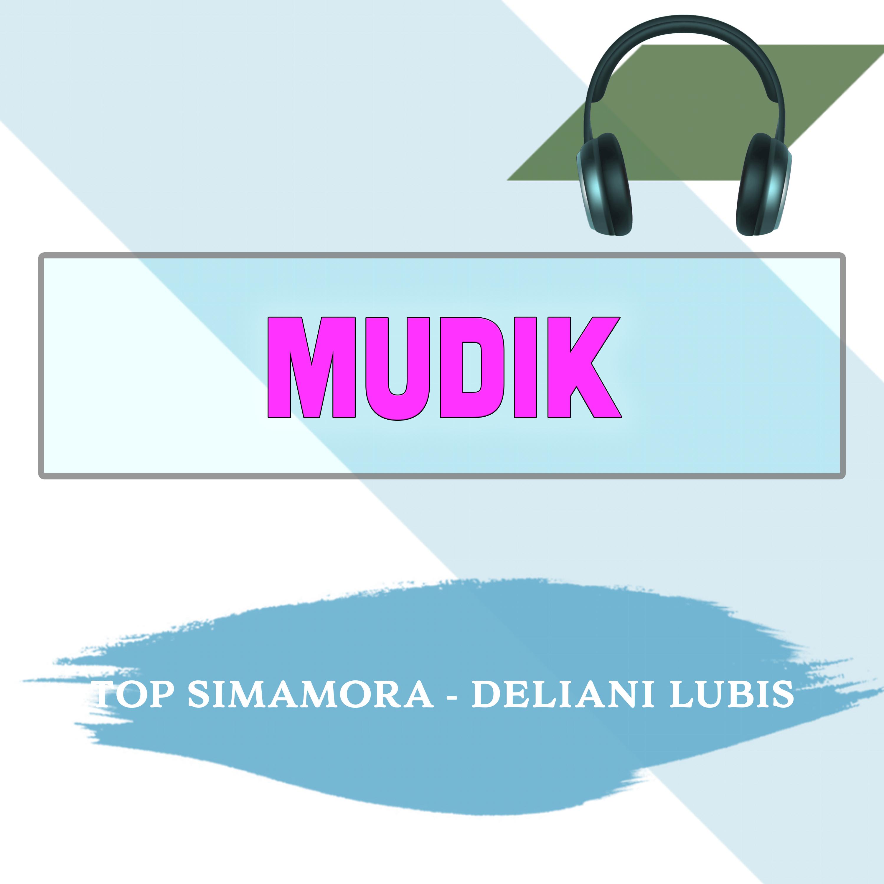 Постер альбома Mudik