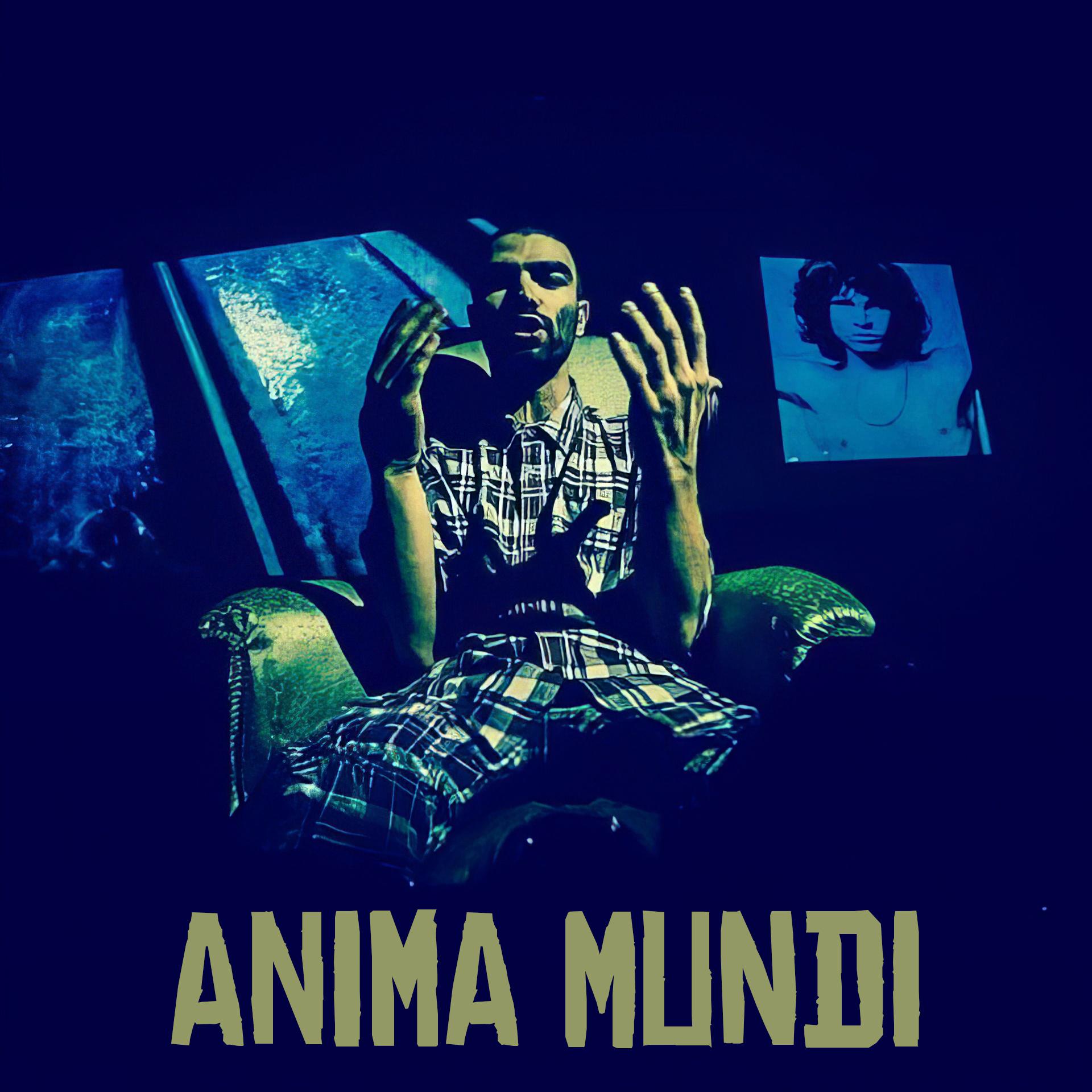 Постер альбома Anima Mundi