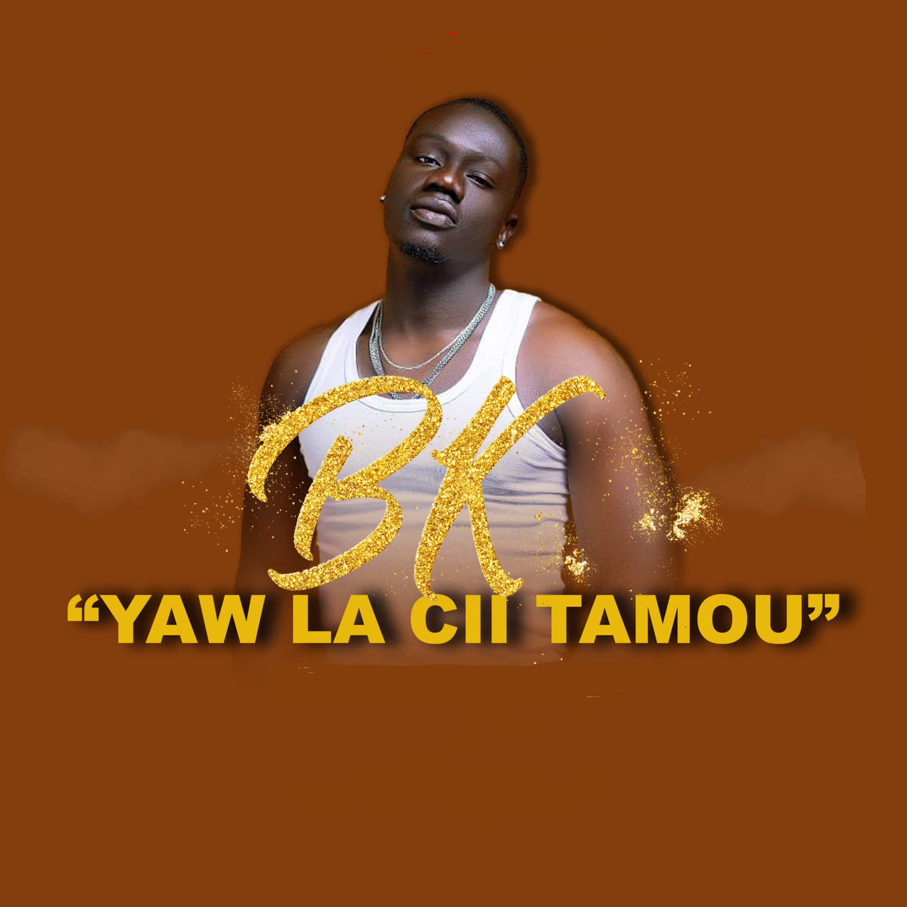 Постер альбома Yaw la cii tamou