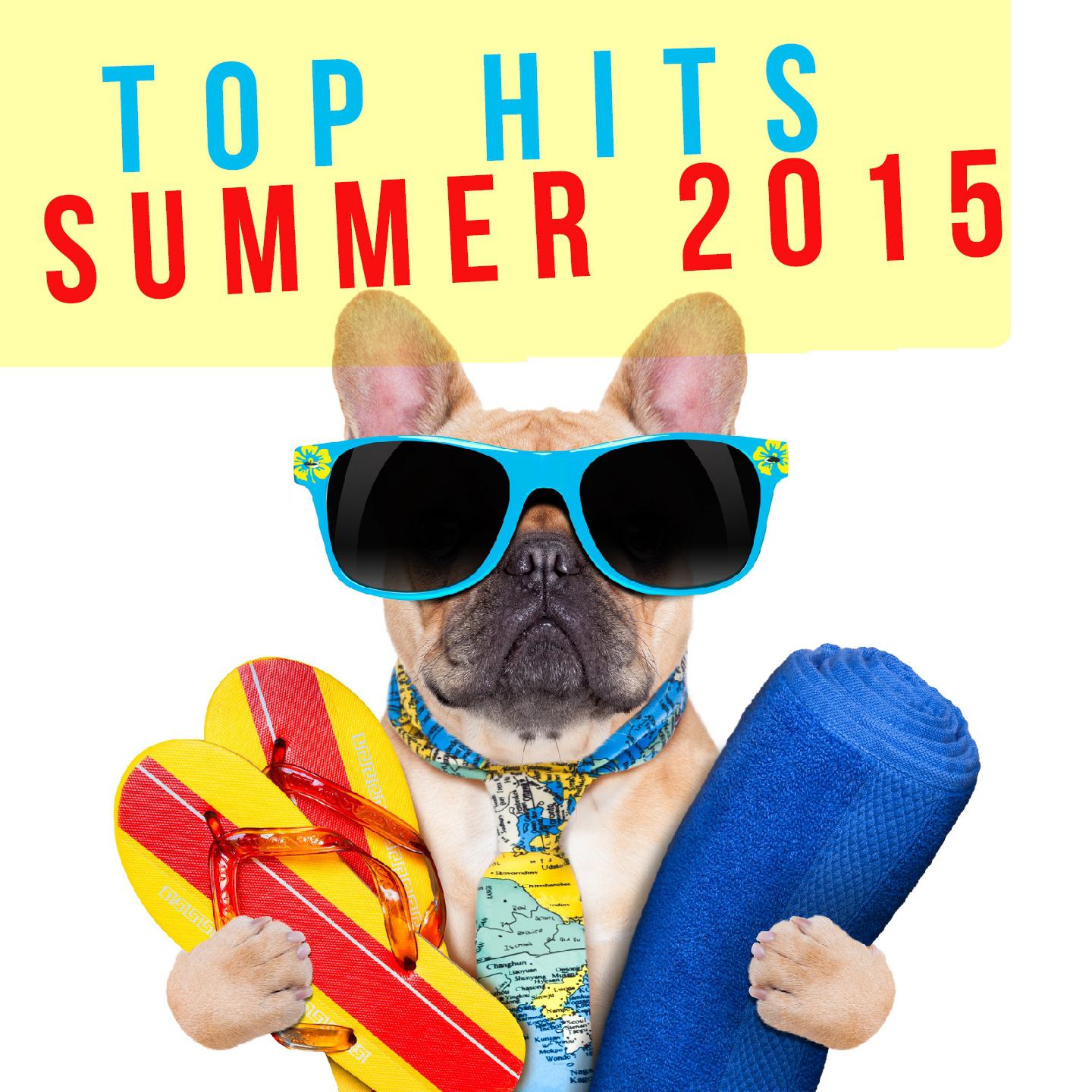 Постер альбома Top Hits Summer 2015