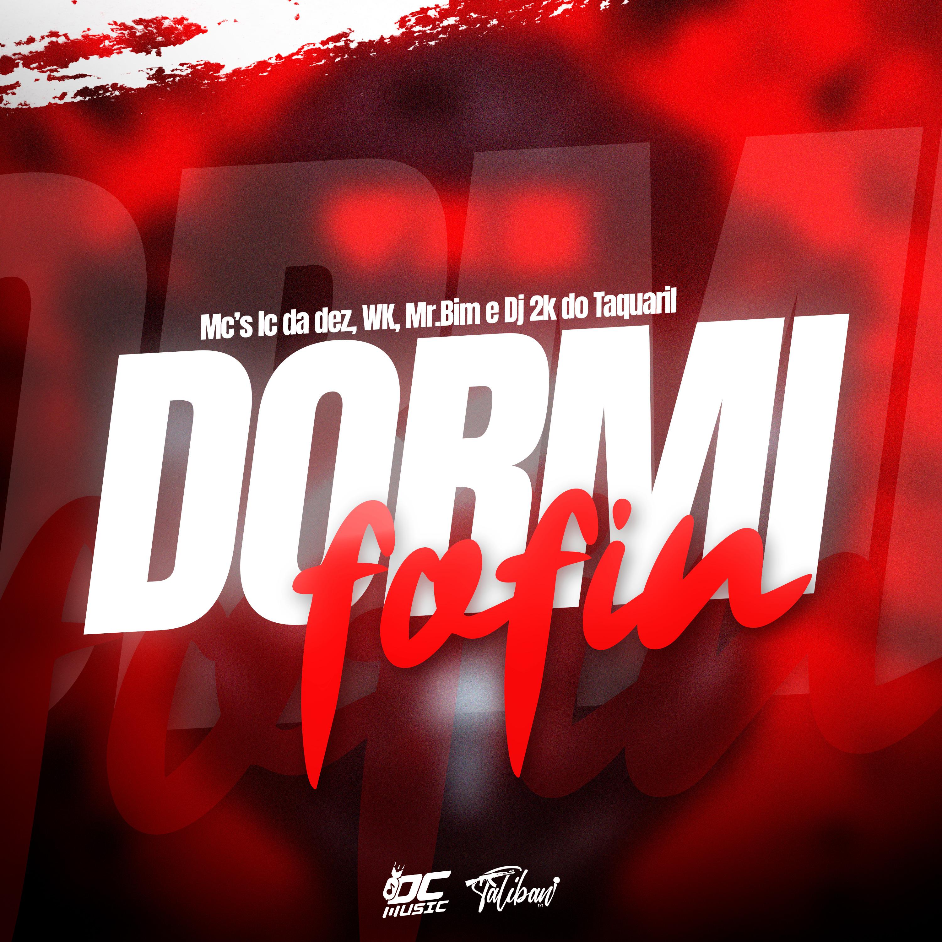 Постер альбома Dormi Fofin