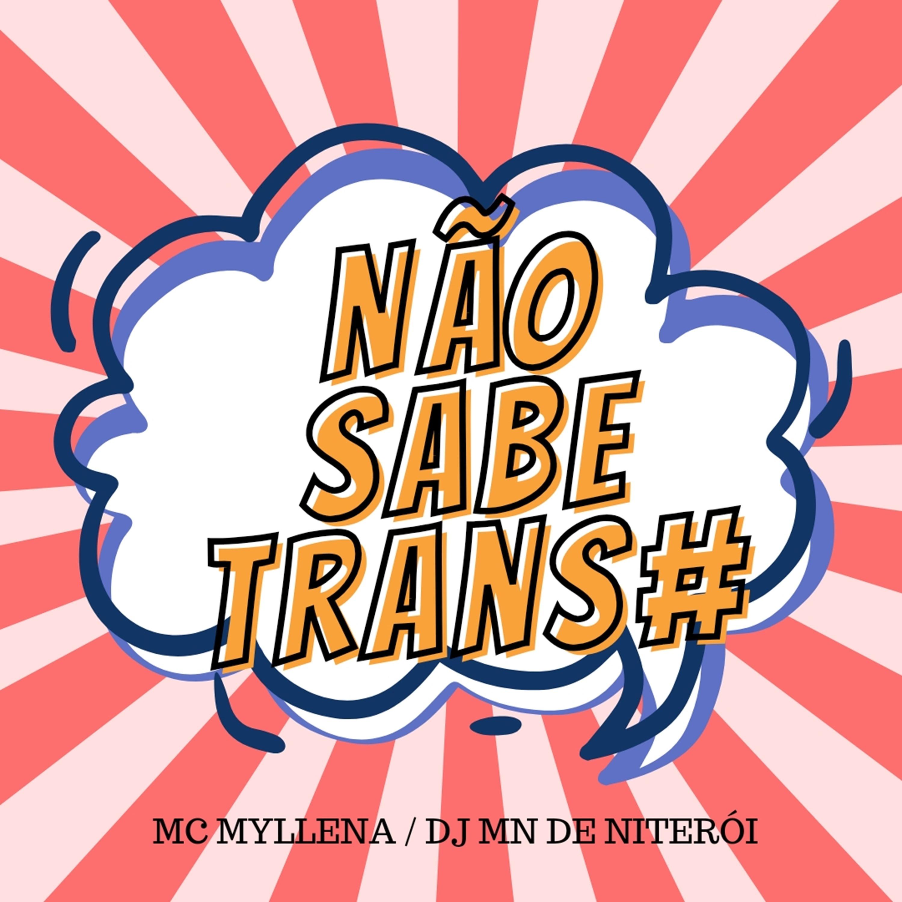 Постер альбома Não Sabe Transa