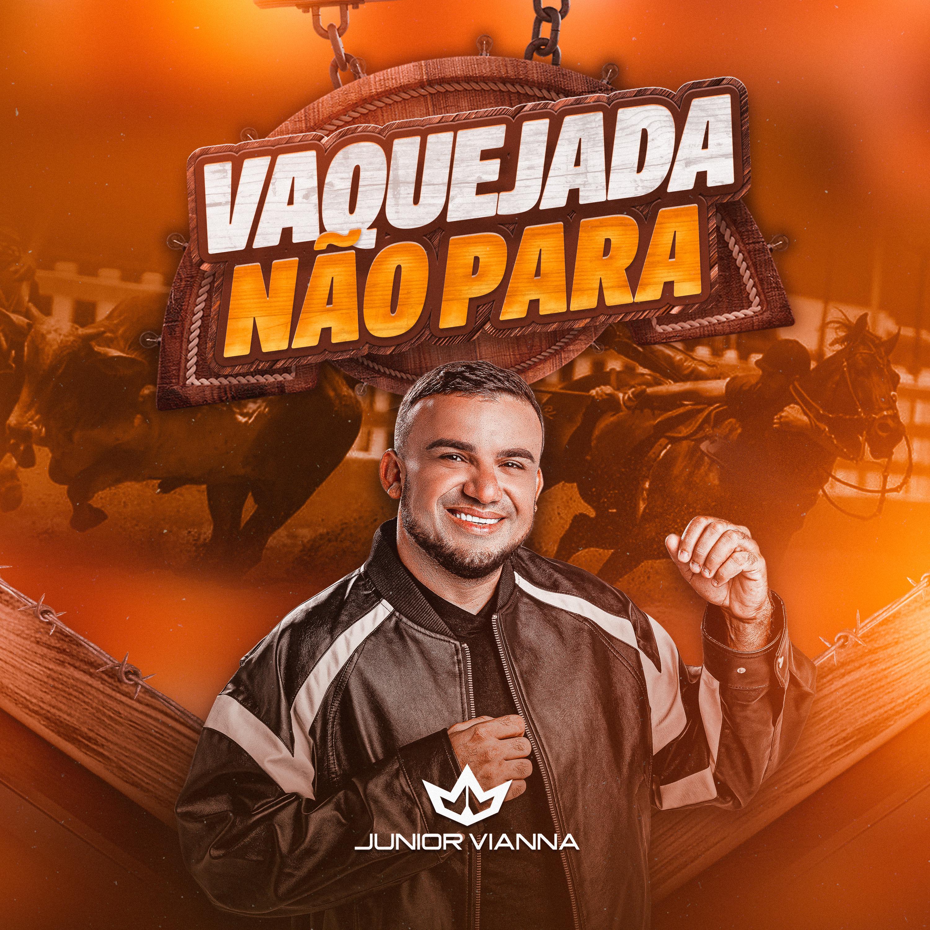 Постер альбома Vaquejada Não Para