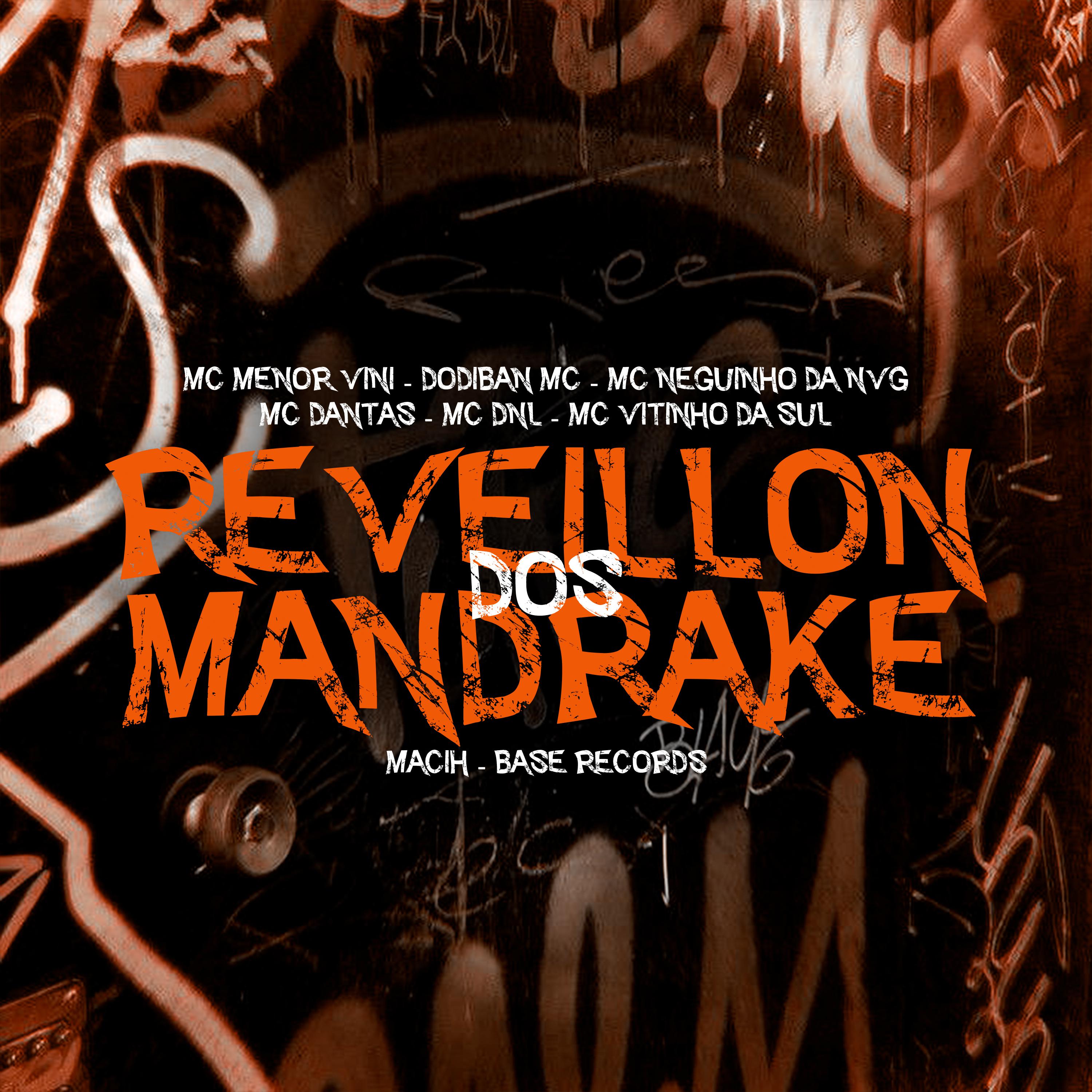 Постер альбома Reveion Dos Madrake