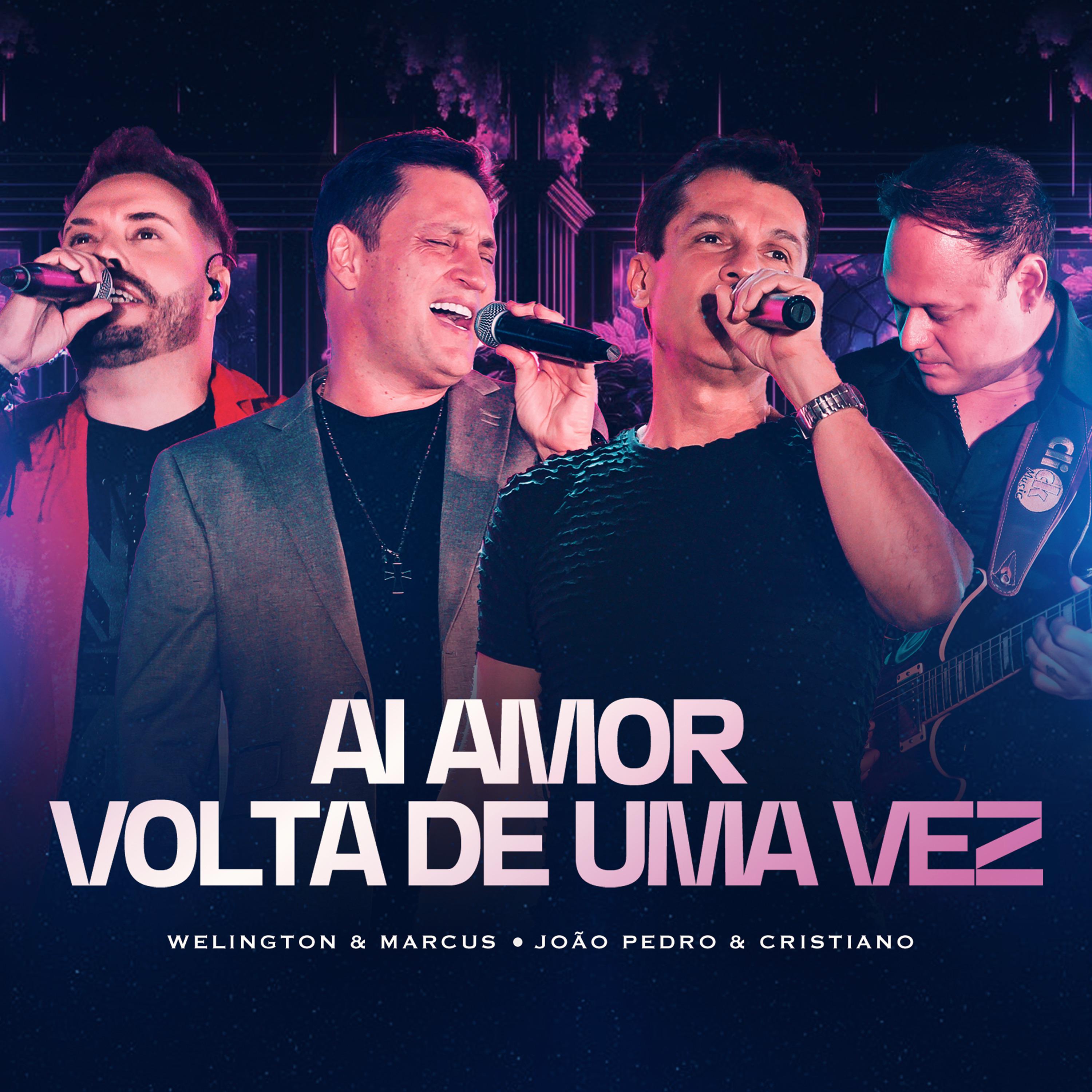 Постер альбома Aí Amor / Volta de Uma Vez