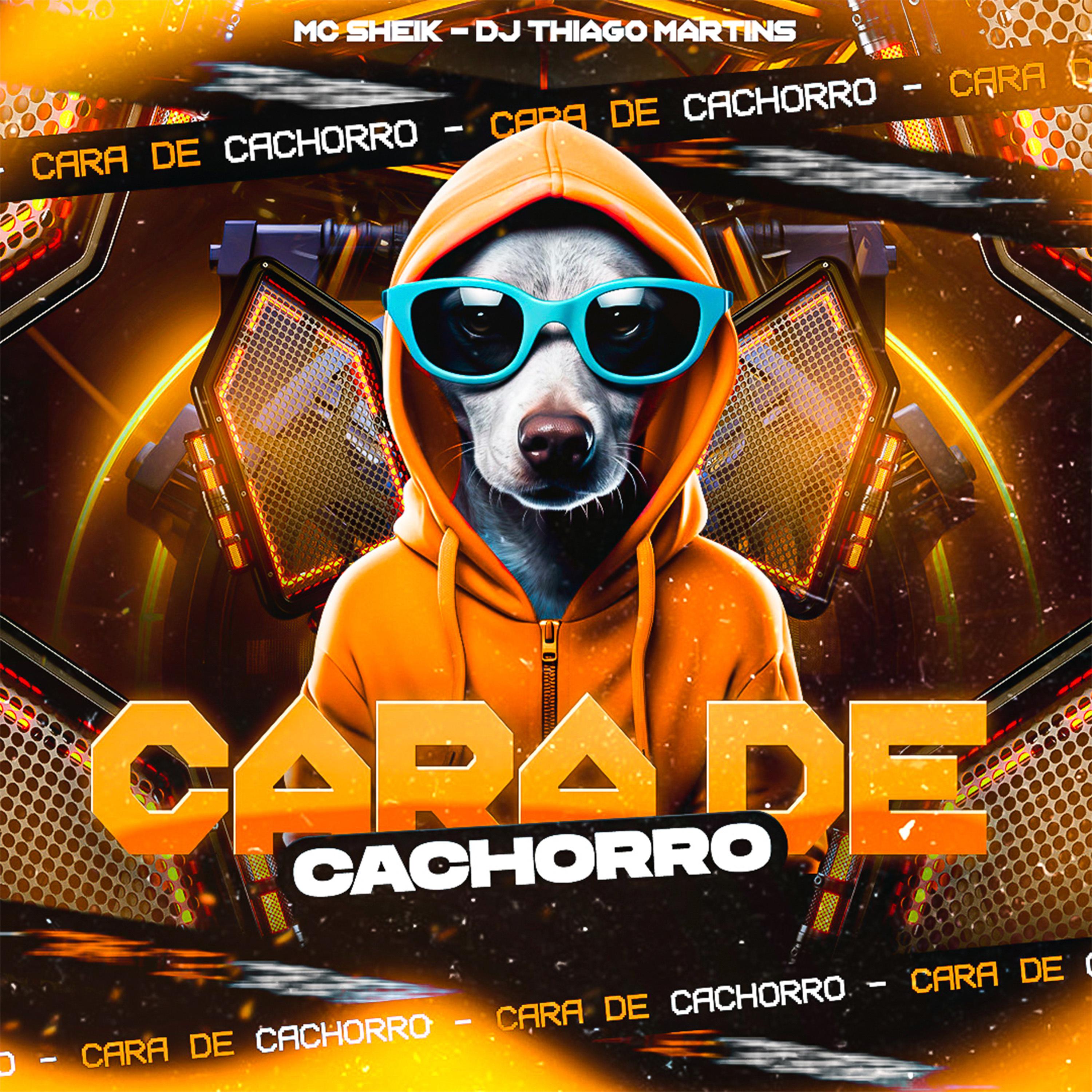 Постер альбома Cara de Cachorro