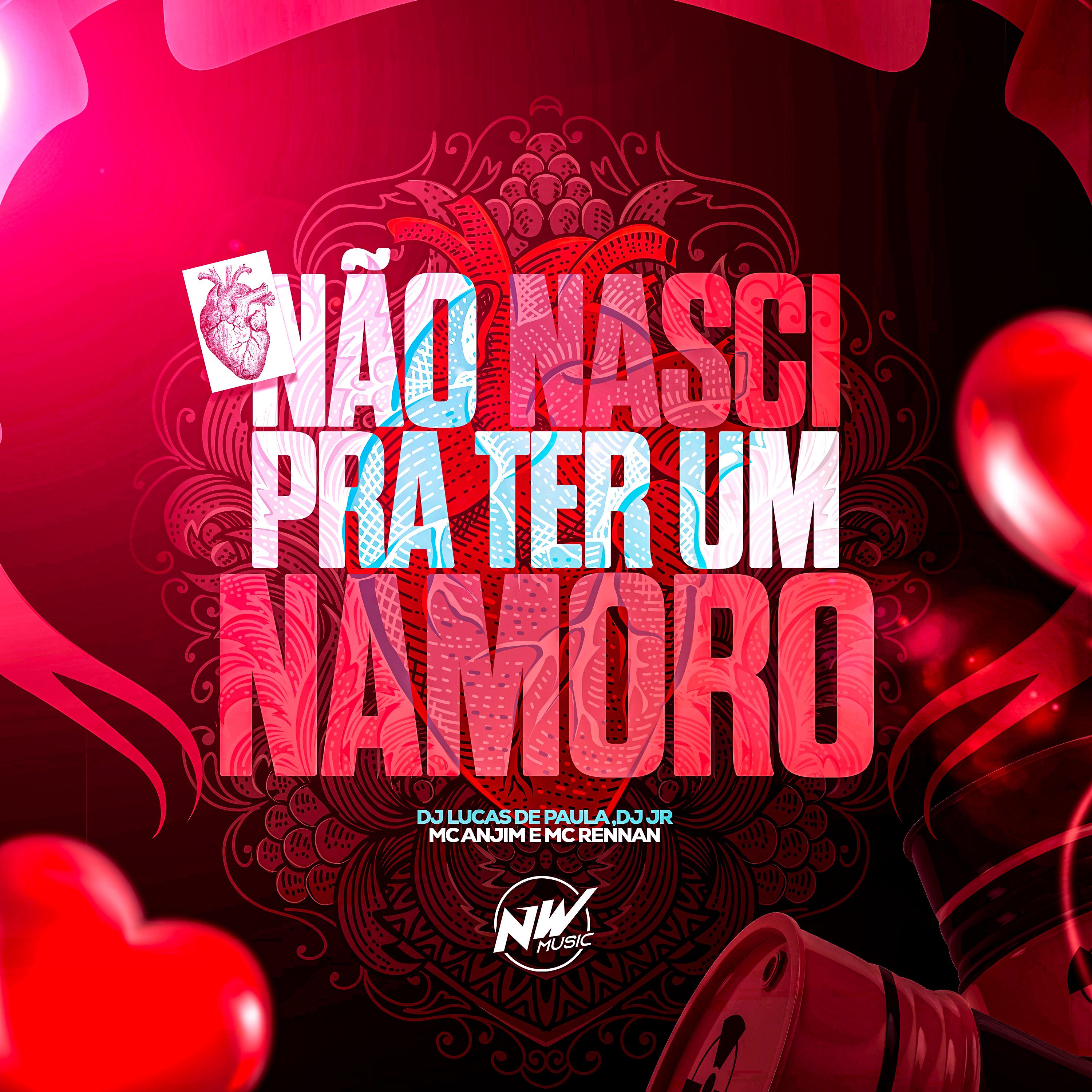 Постер альбома Não Nasci pra Ter um Namoro