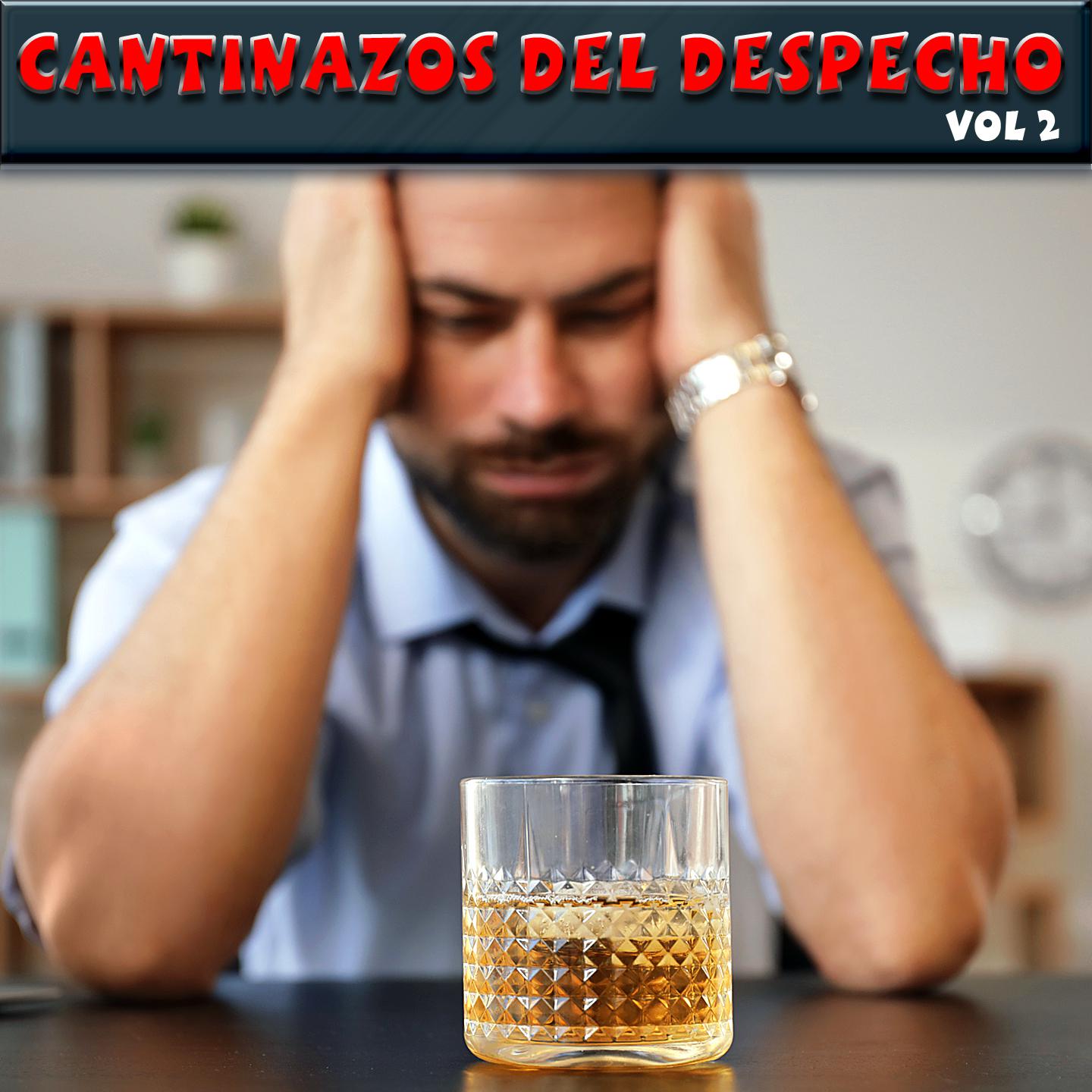 Постер альбома Cantinazos Del Despecho, Vol.2
