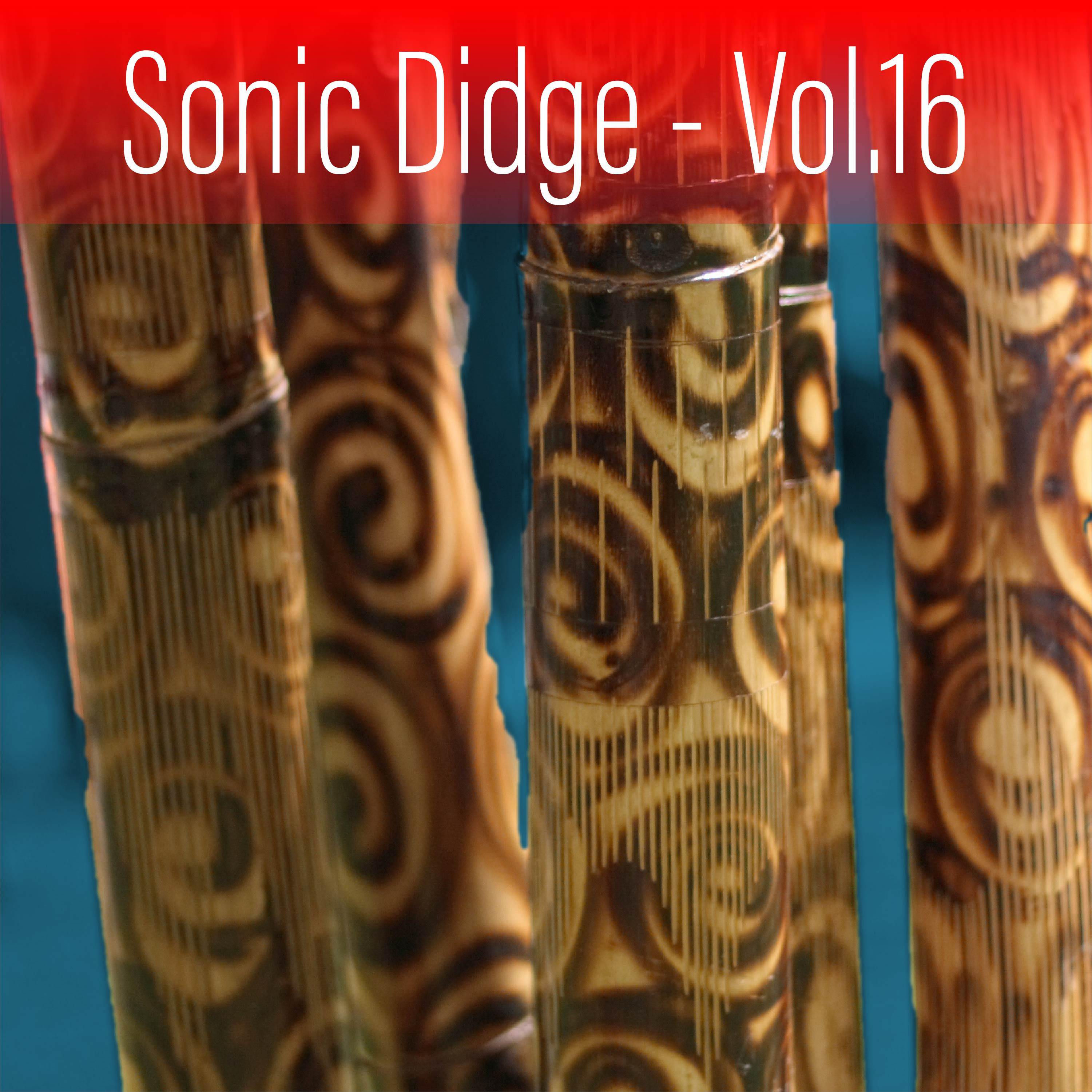 Постер альбома Sonic Didge, Vol. 16