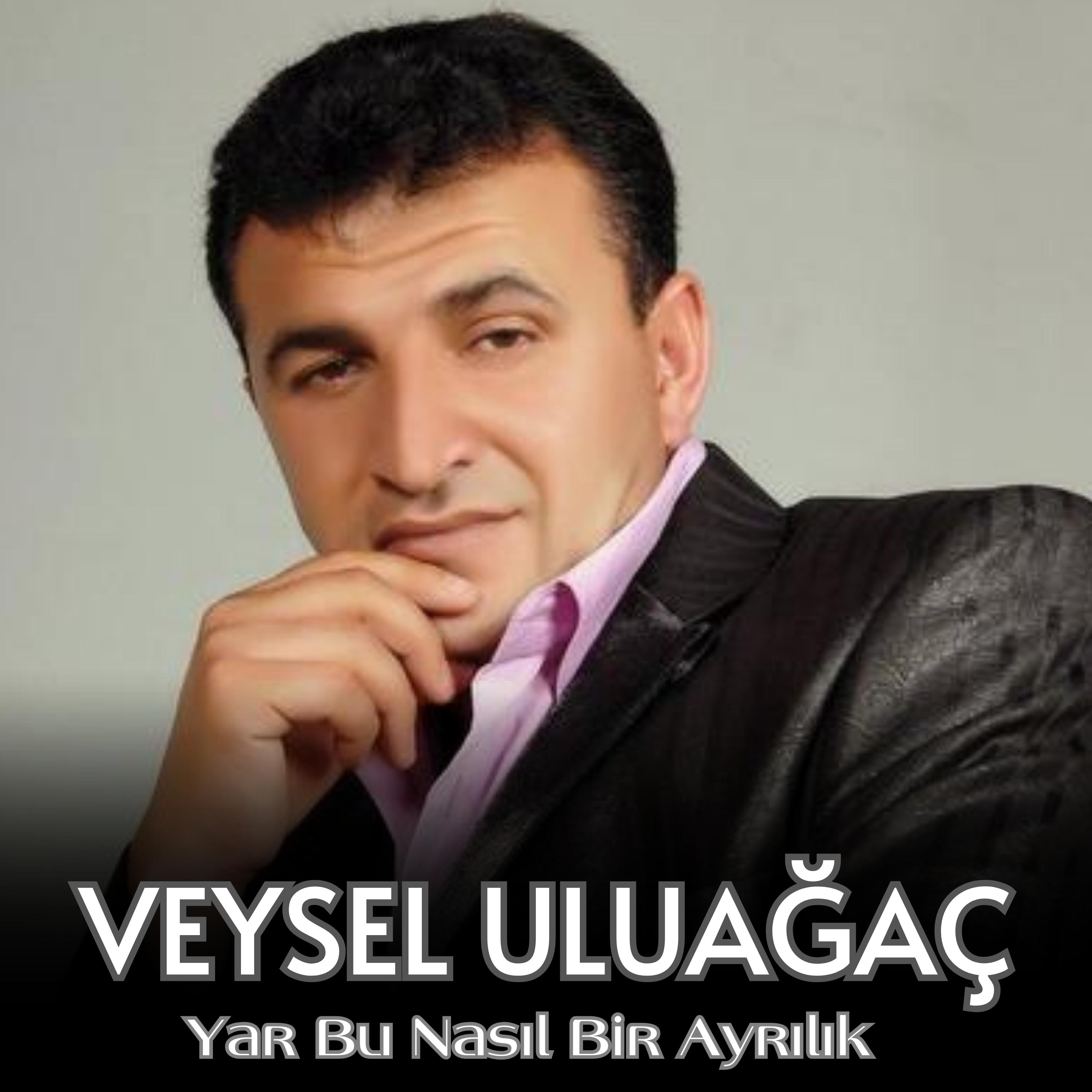Постер альбома Yar Bu Nasıl Bir Ayrılık