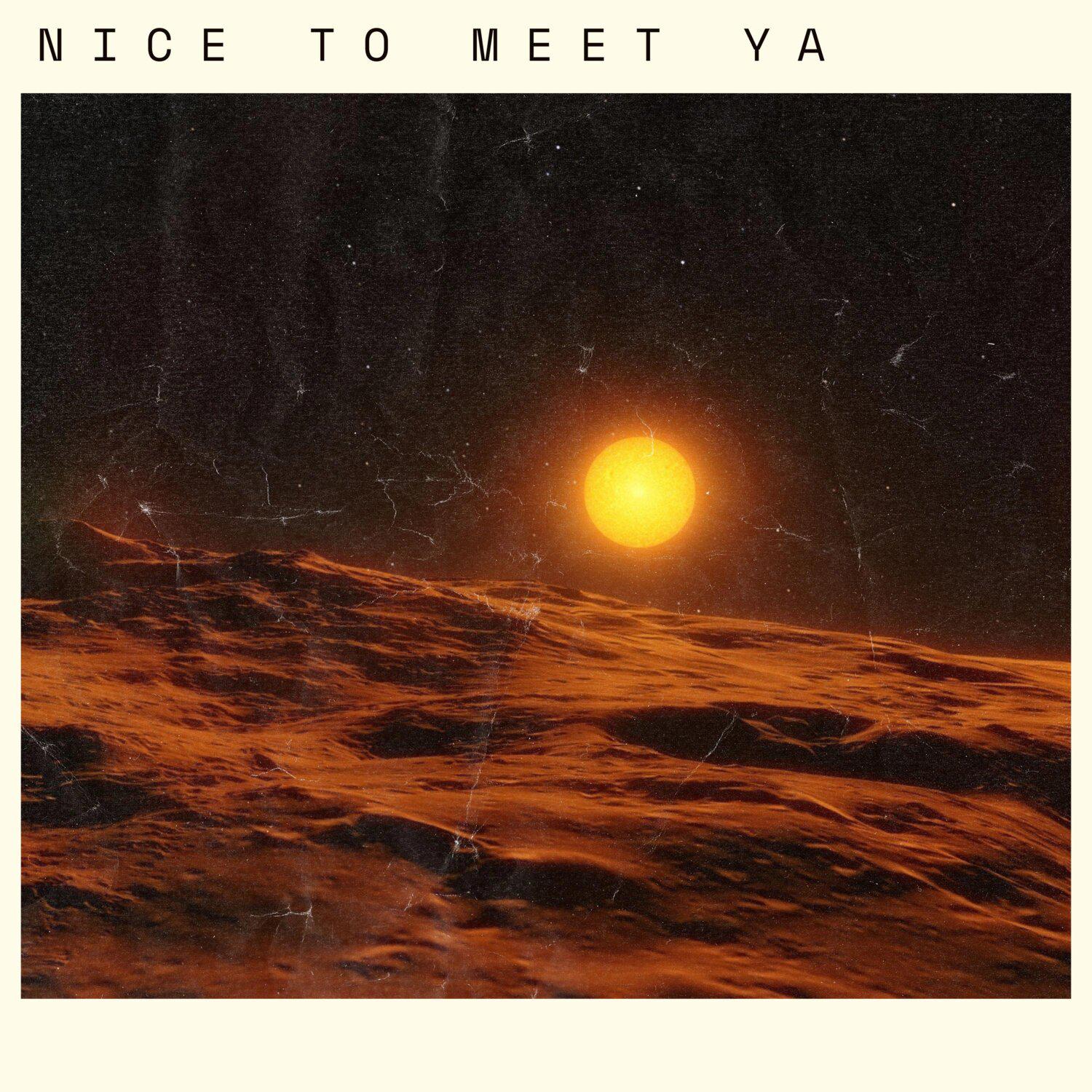 Постер альбома Nice To Meet Ya