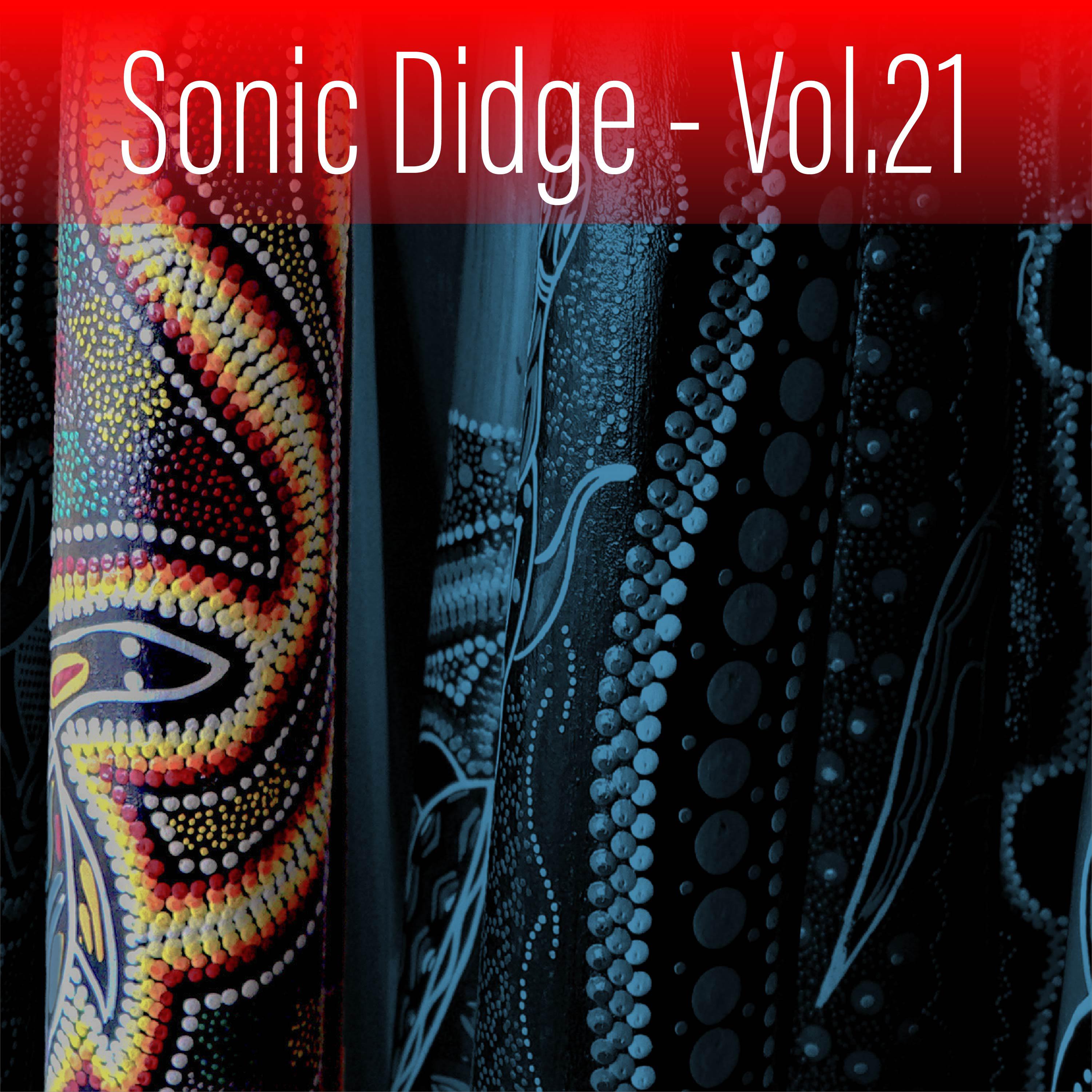 Постер альбома Sonic Didge, Vol. 21