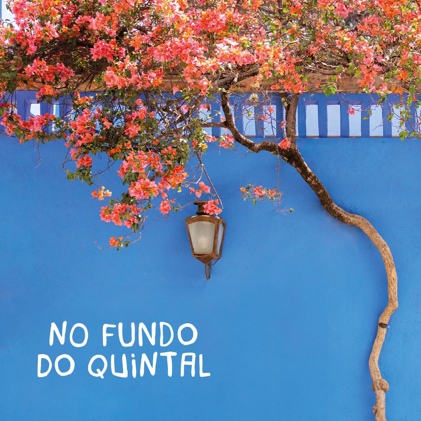 Постер альбома No fundo do quintal
