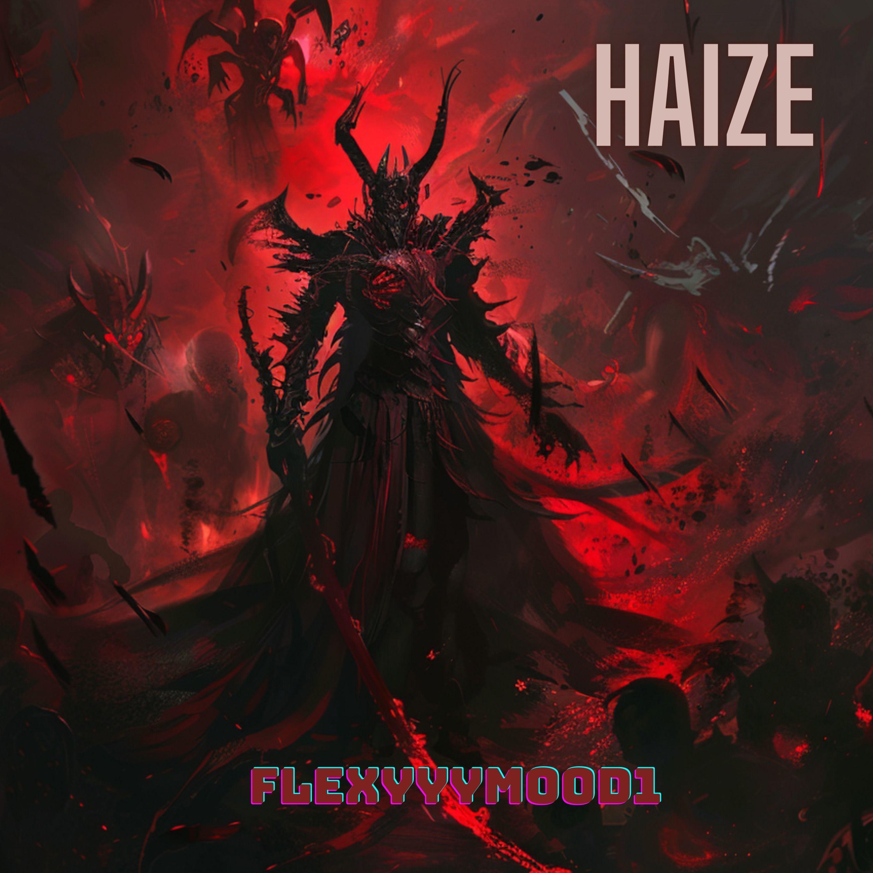 Постер альбома Haize