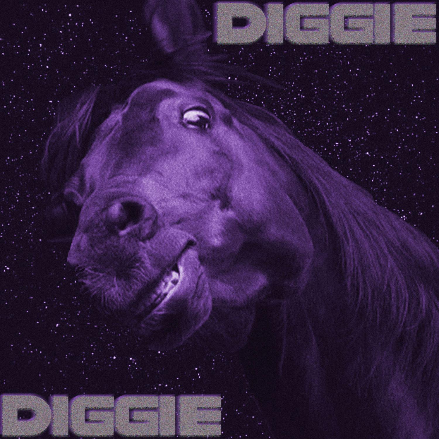 Постер альбома DIGGIE DIGGIE