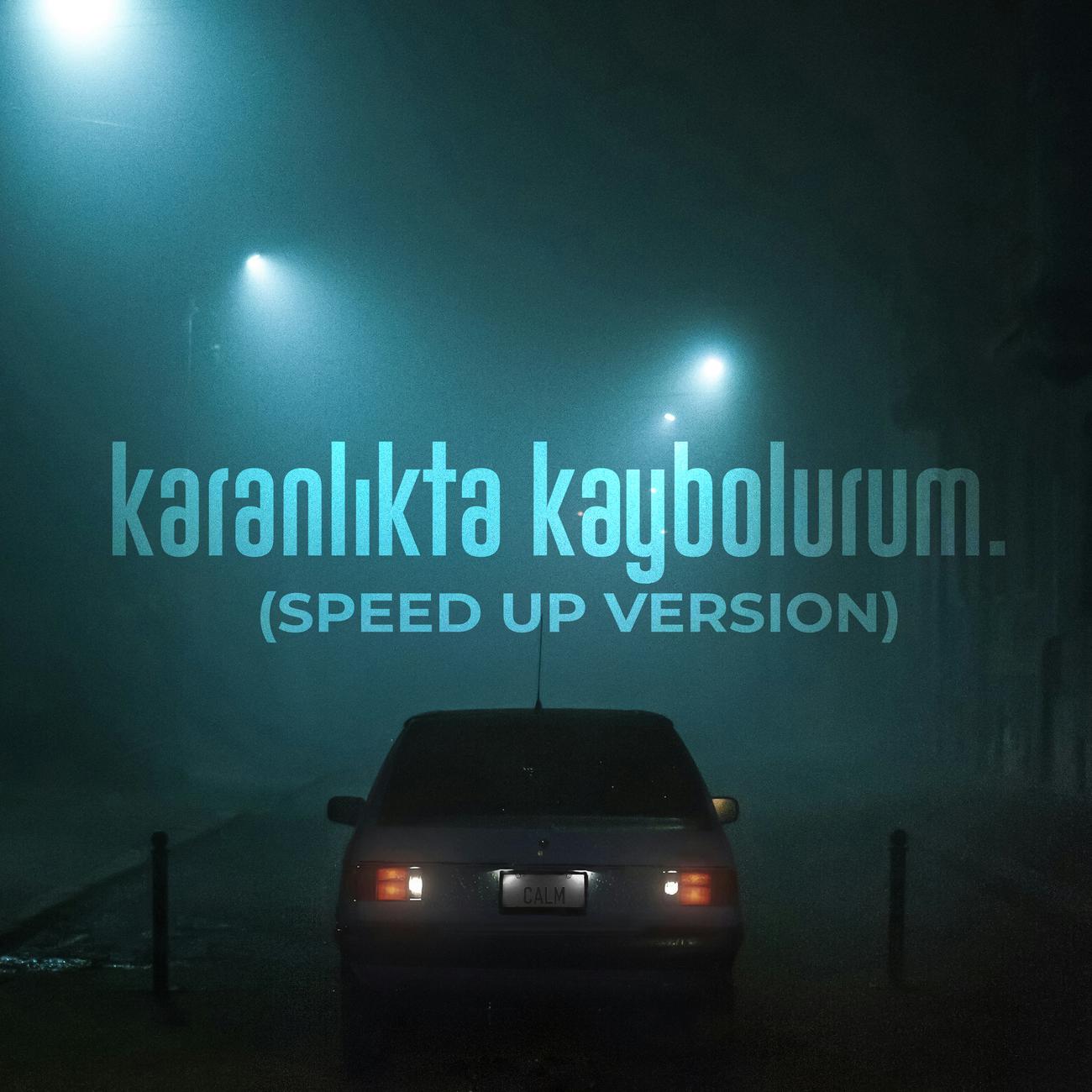 Постер альбома Karanlıkta Kaybolurum (Speed Up Version)