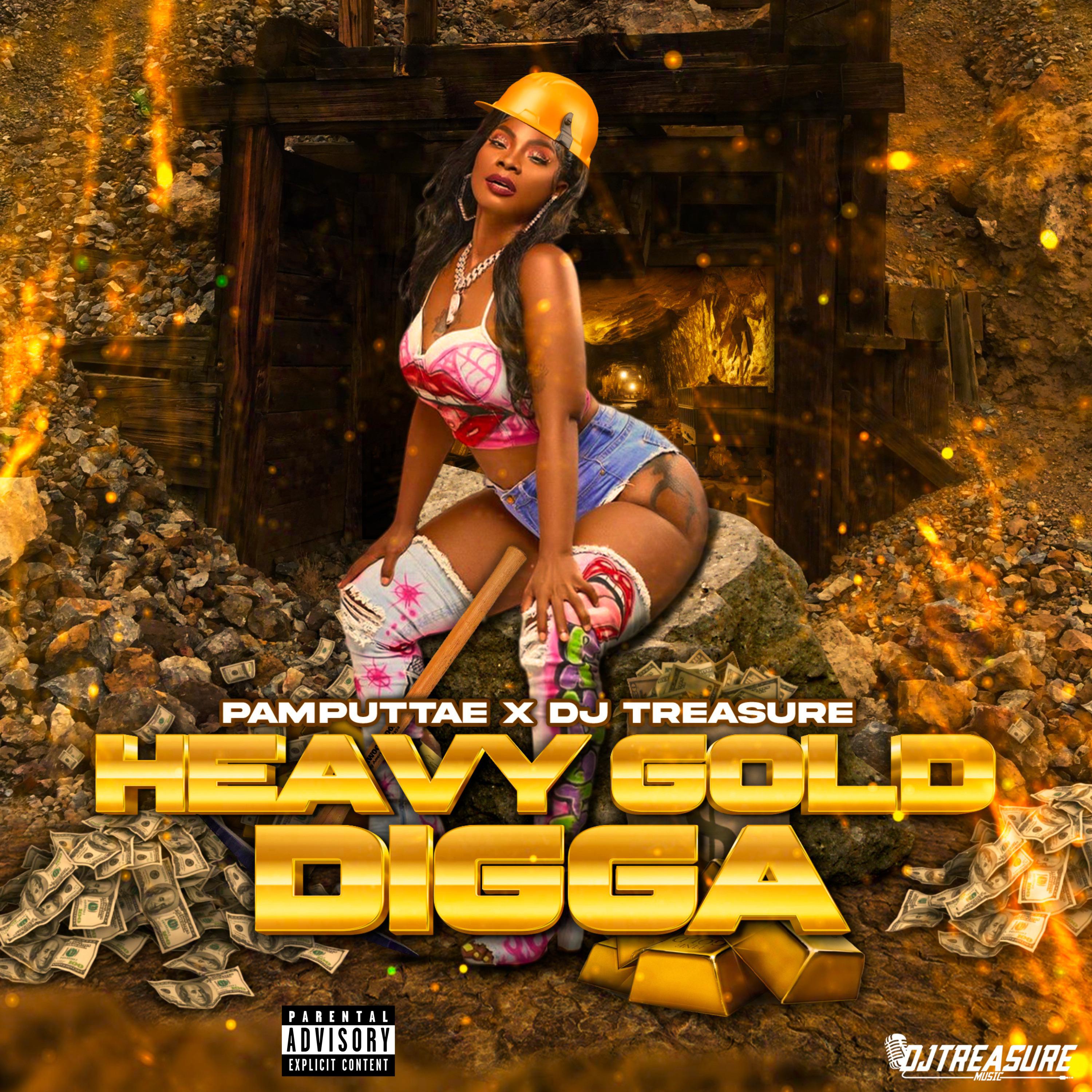 Постер альбома Heavy Gold Digga