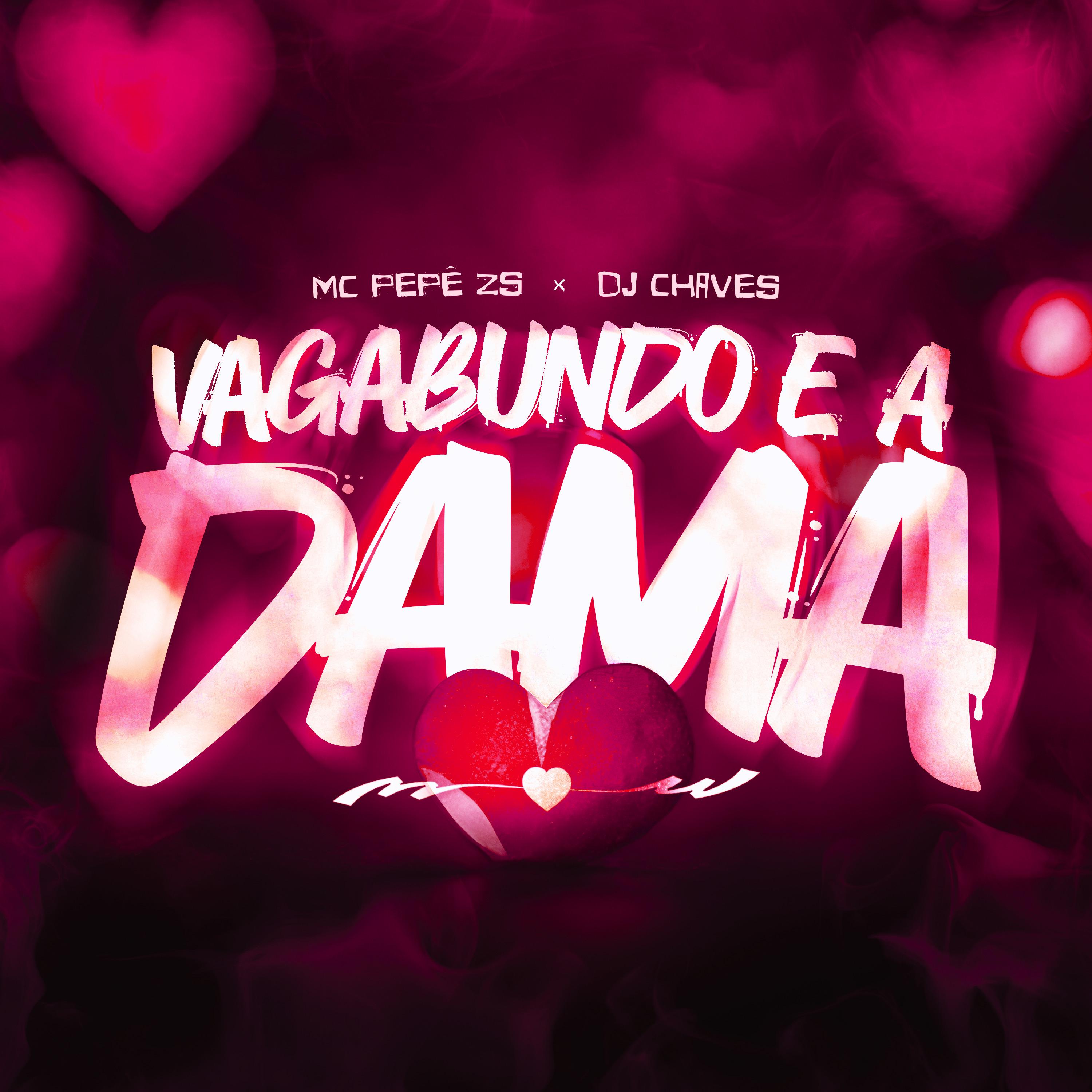 Постер альбома Vagabundo e a Dama