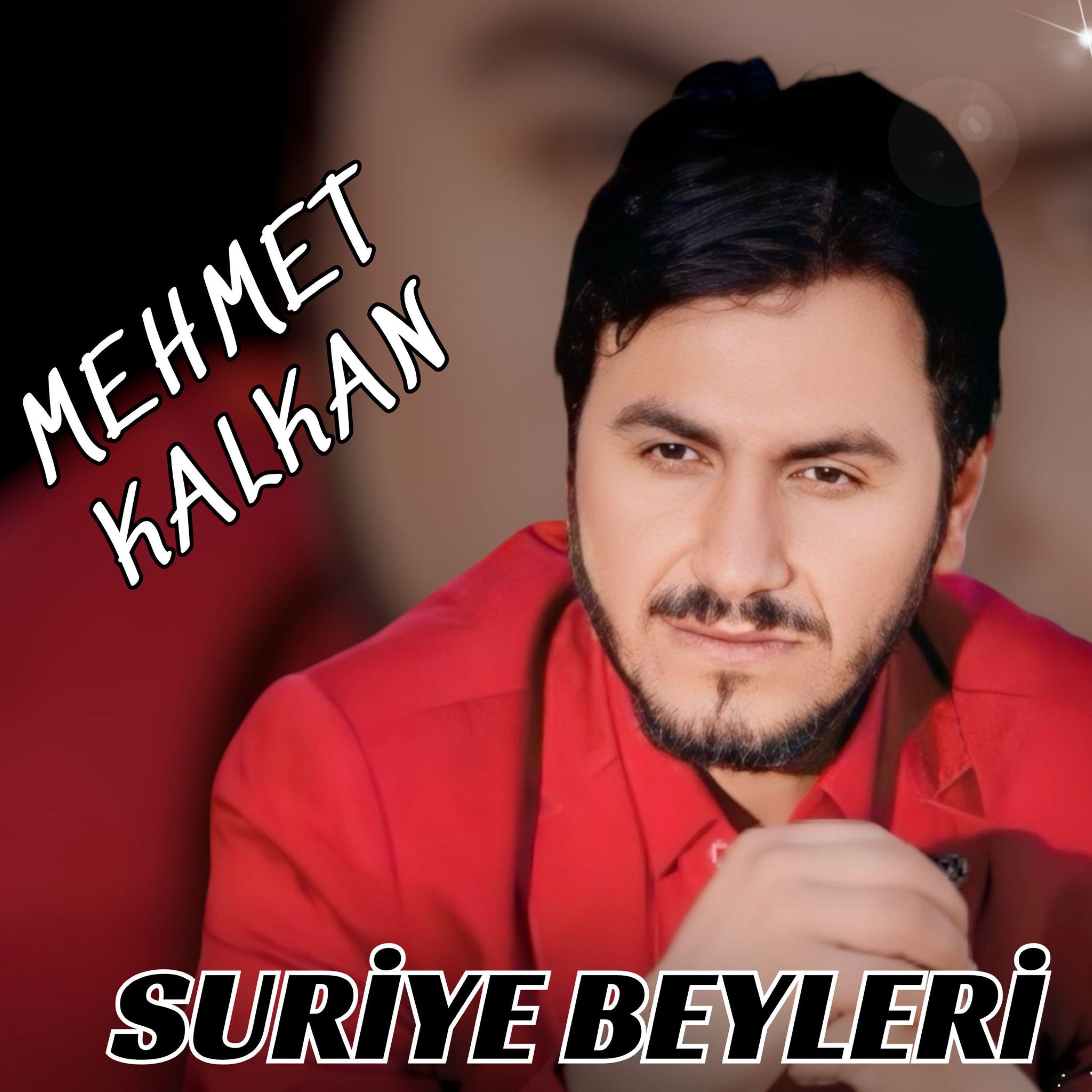 Постер альбома Suriye Beyleri
