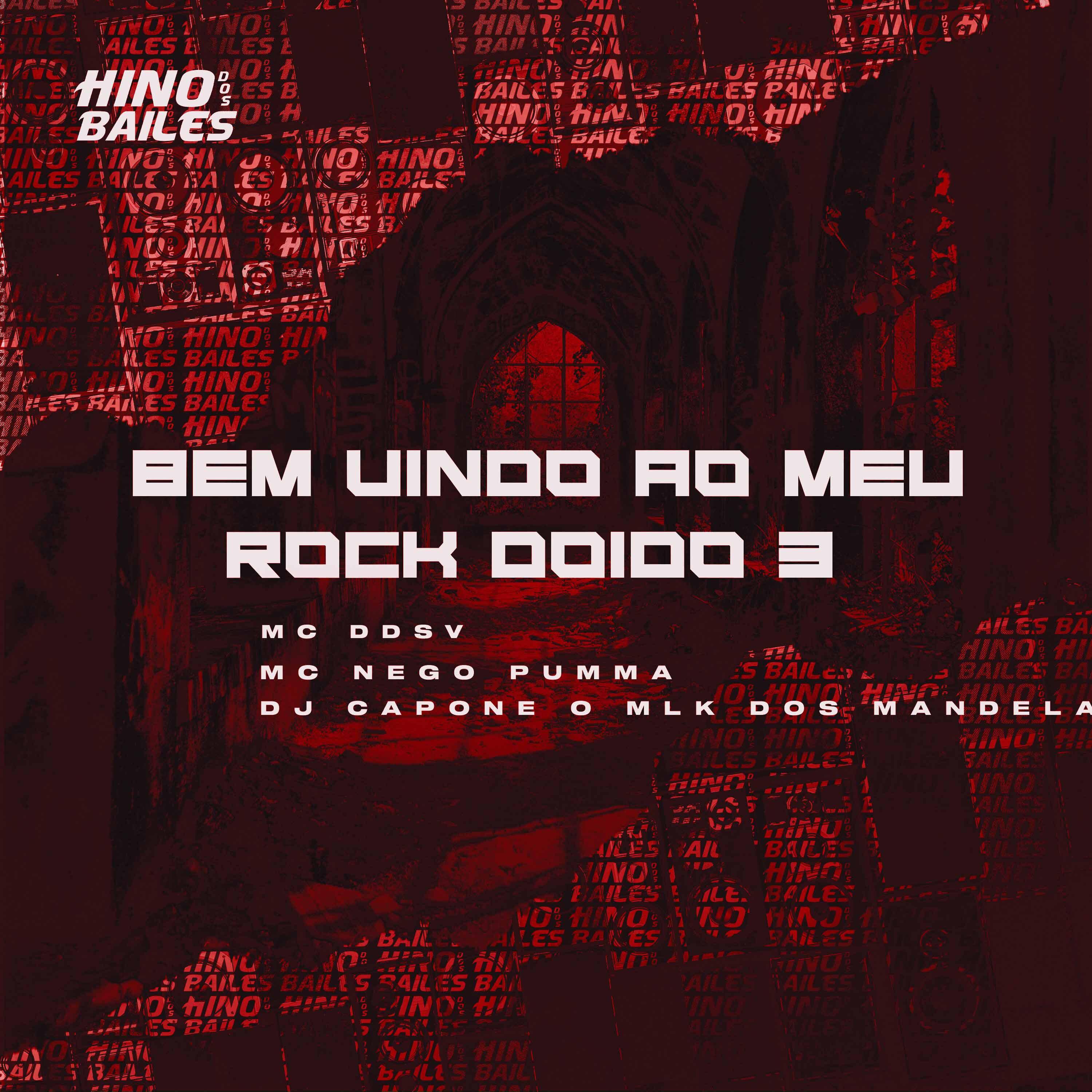 Постер альбома Bem Vindo ao Meu Rock Doido 3