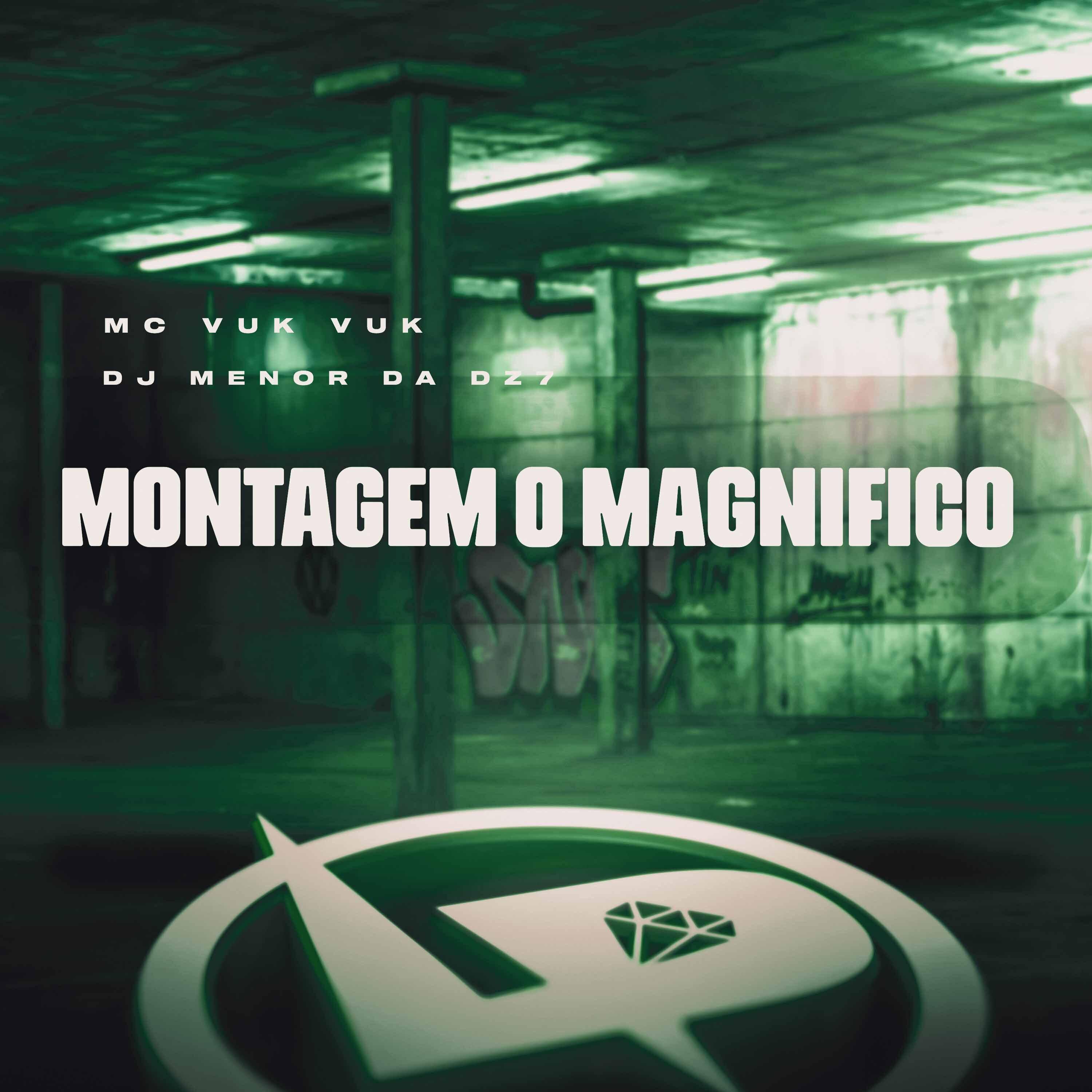 Постер альбома Montagem o Magnífico