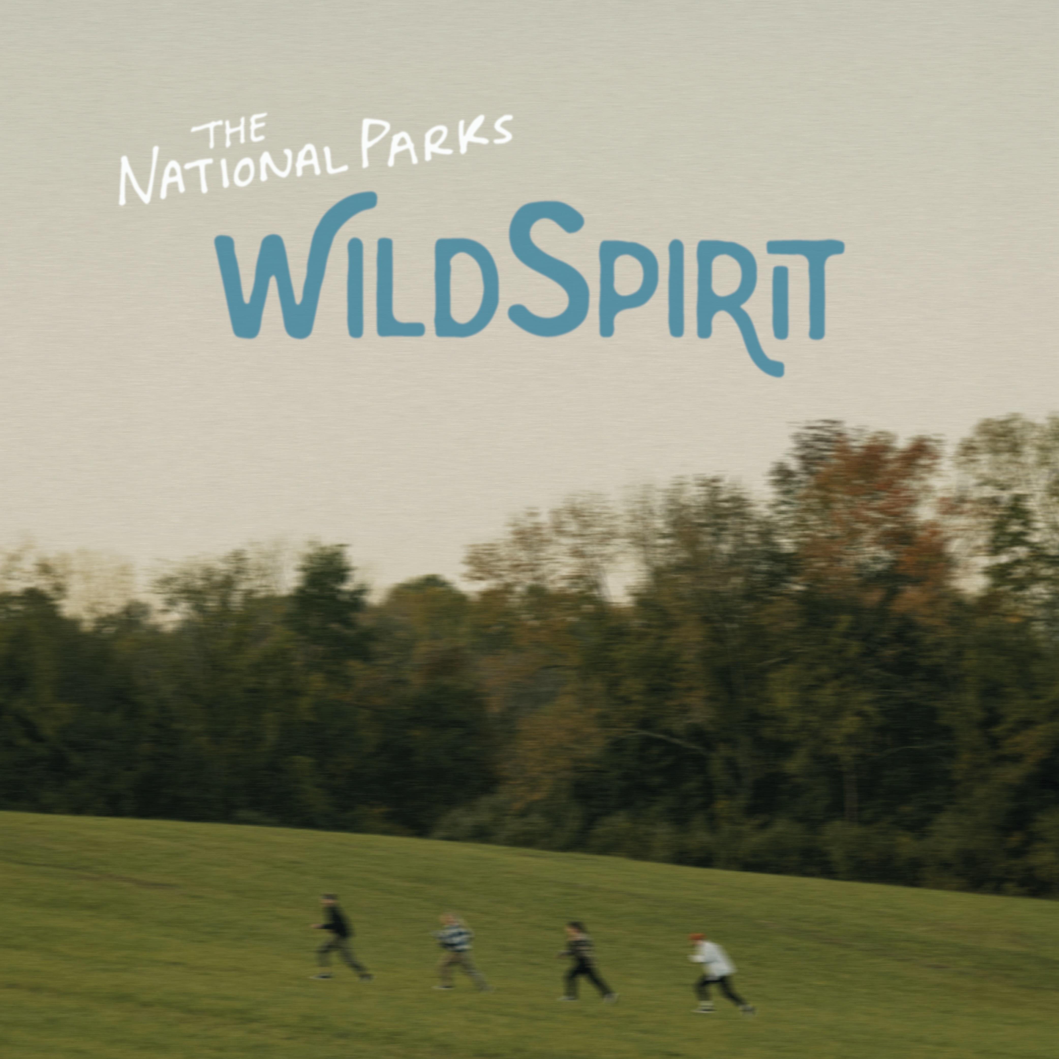 Постер альбома Wild Spirit