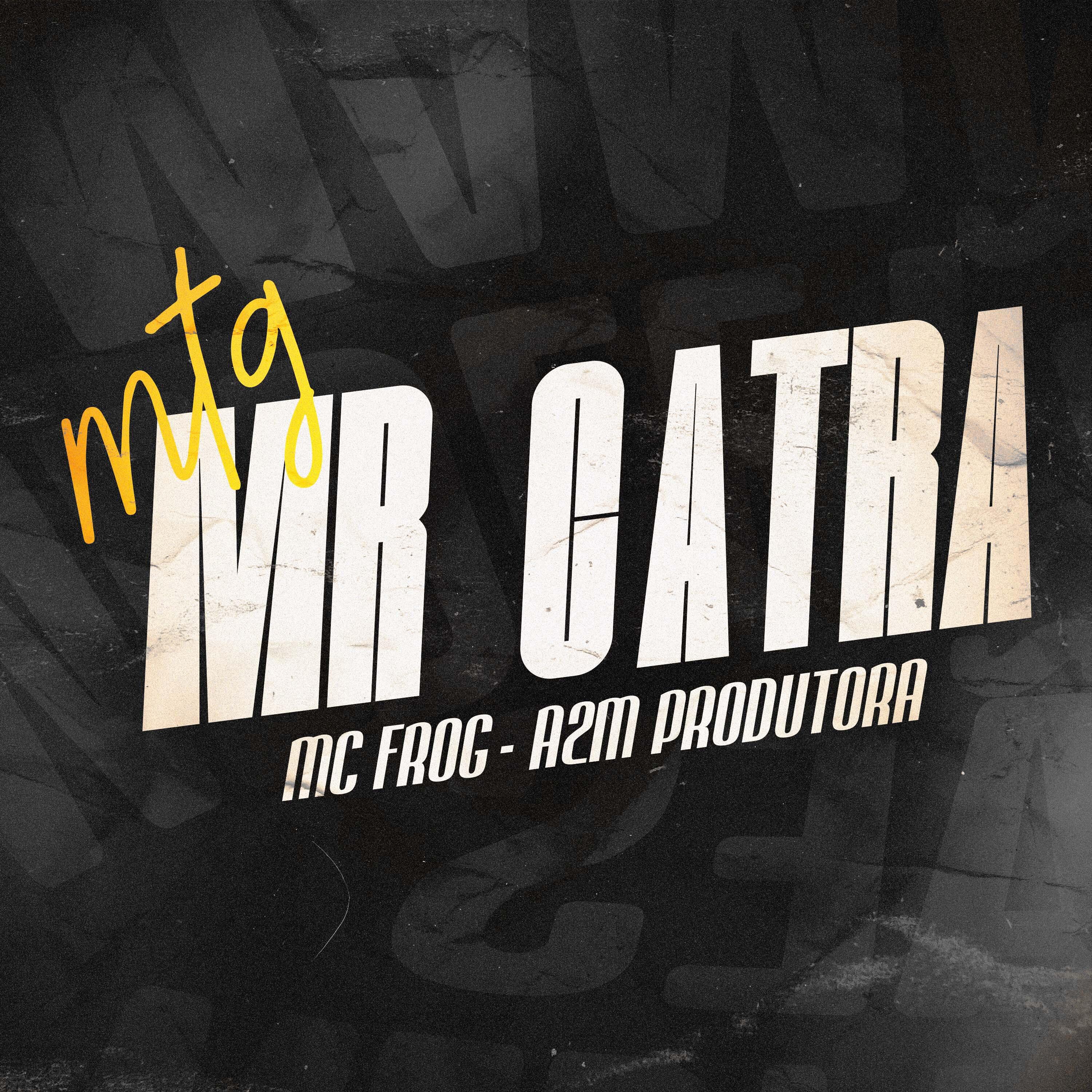 Постер альбома Mtg Mr Catra