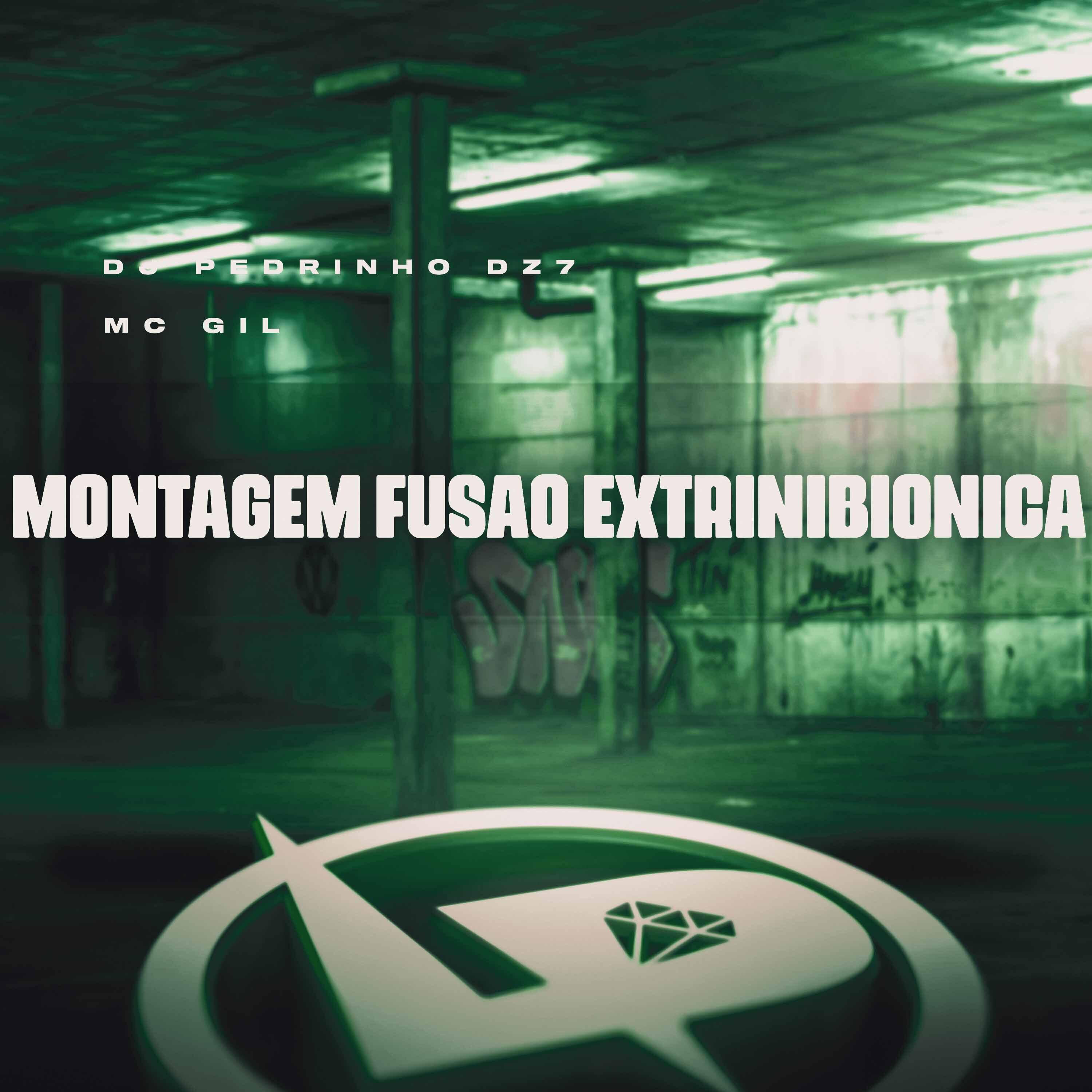 Постер альбома Montagem Fusão Extrinibionica