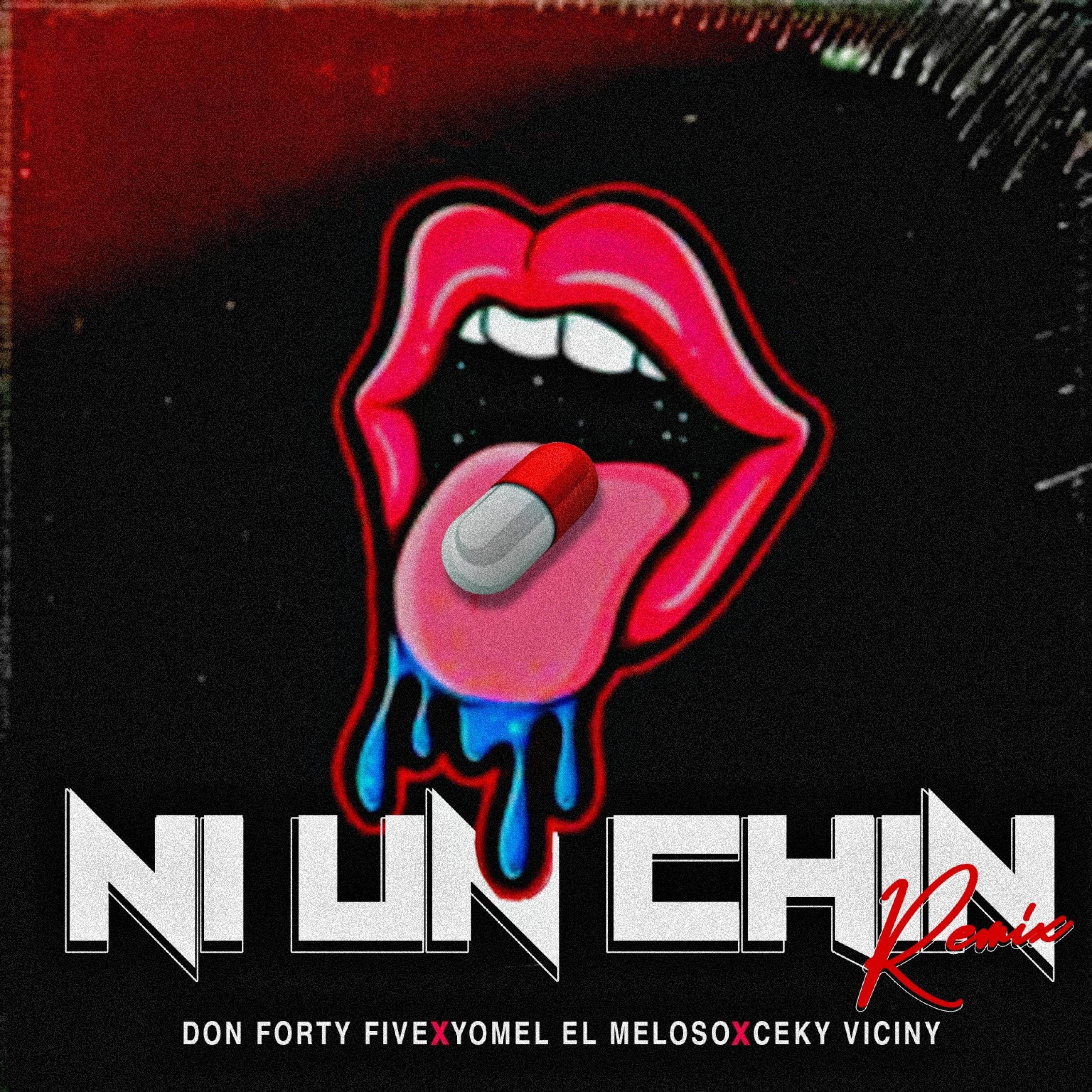 Постер альбома Ni un Chin