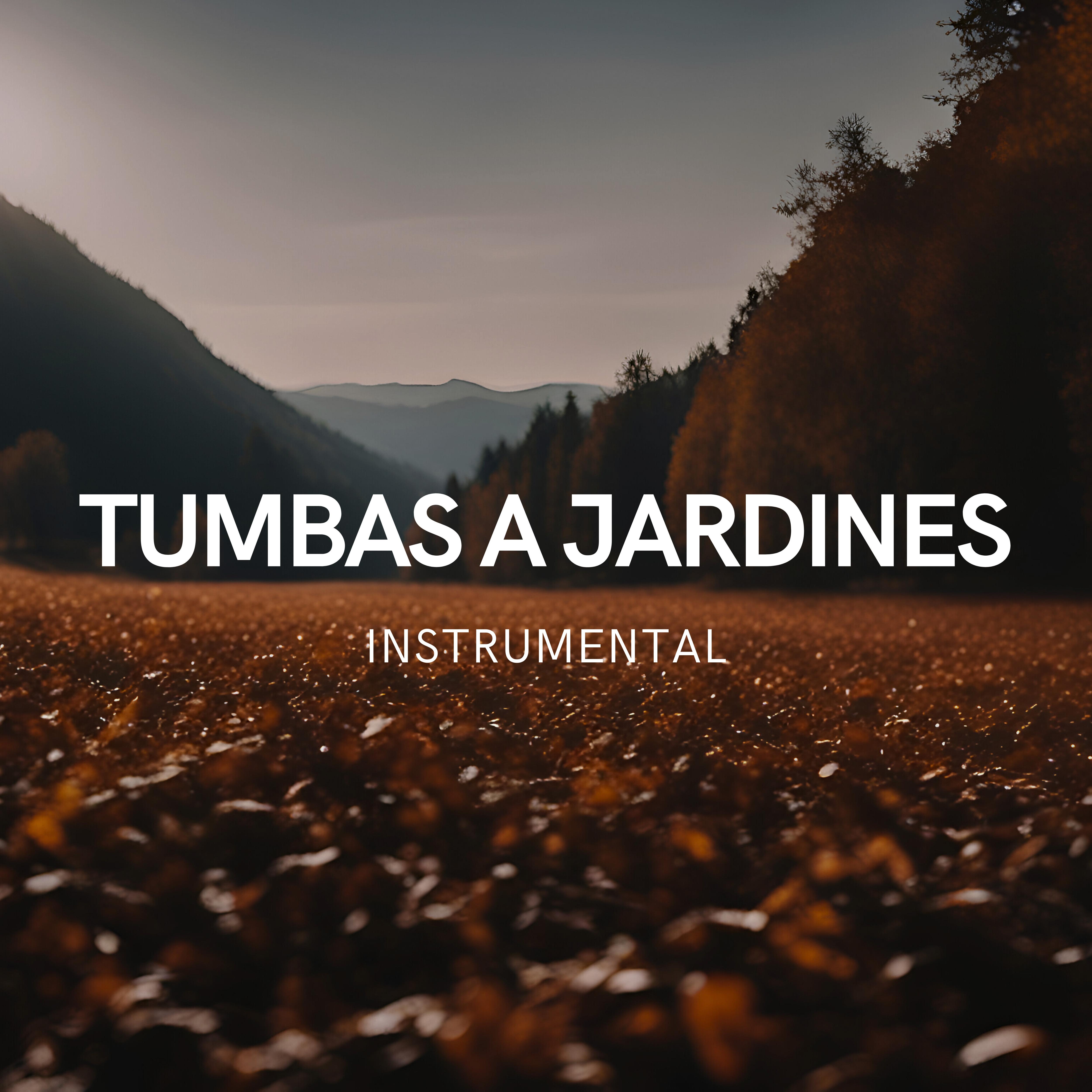Постер альбома Tumbas a Jardines