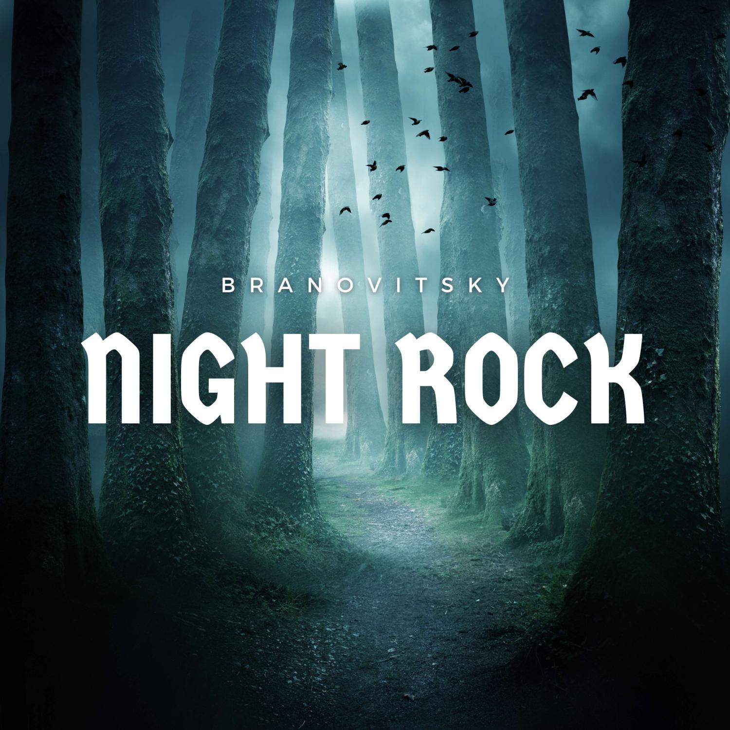 Постер альбома Night Rock