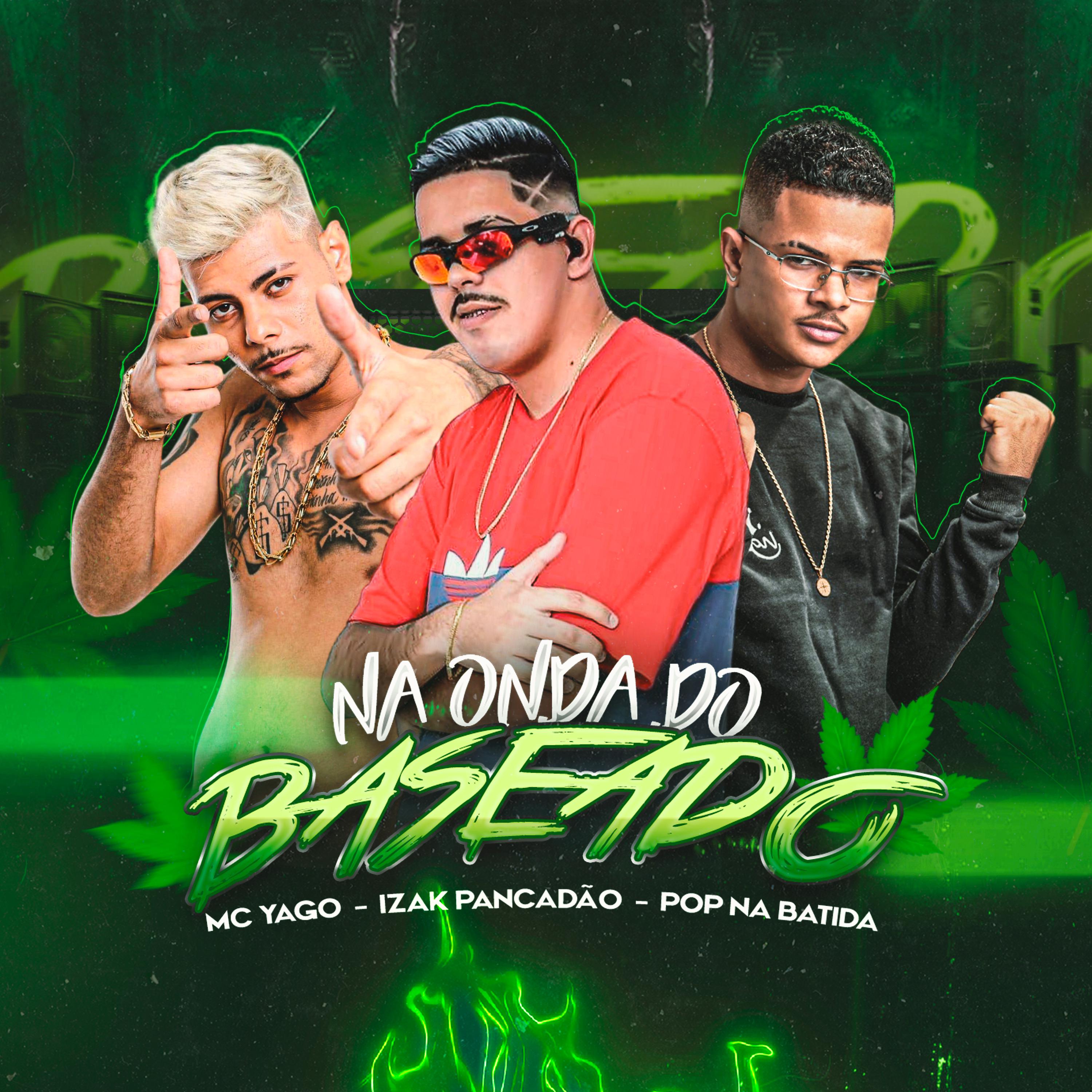 Постер альбома Na Onda do Baseado