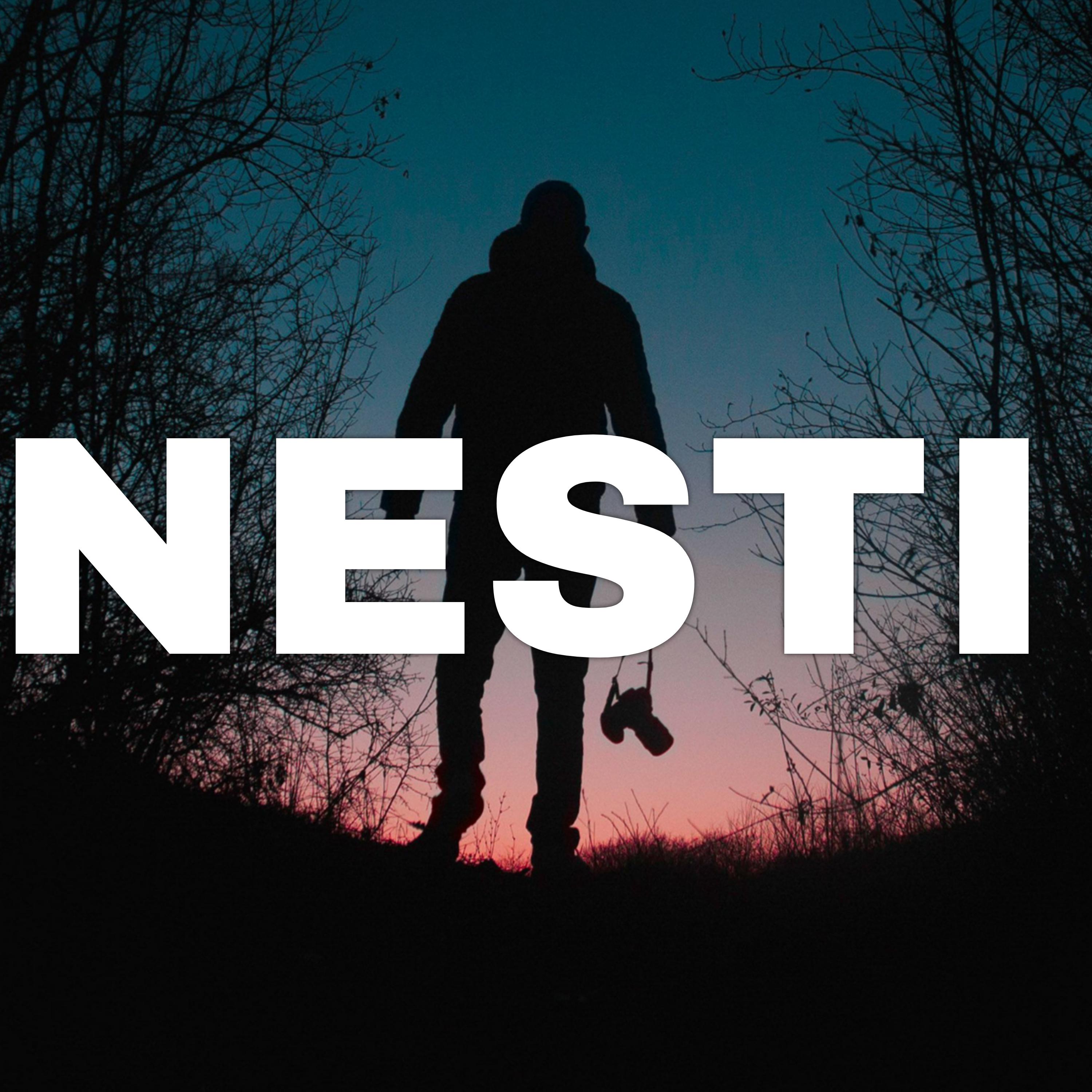 Постер альбома Nesti