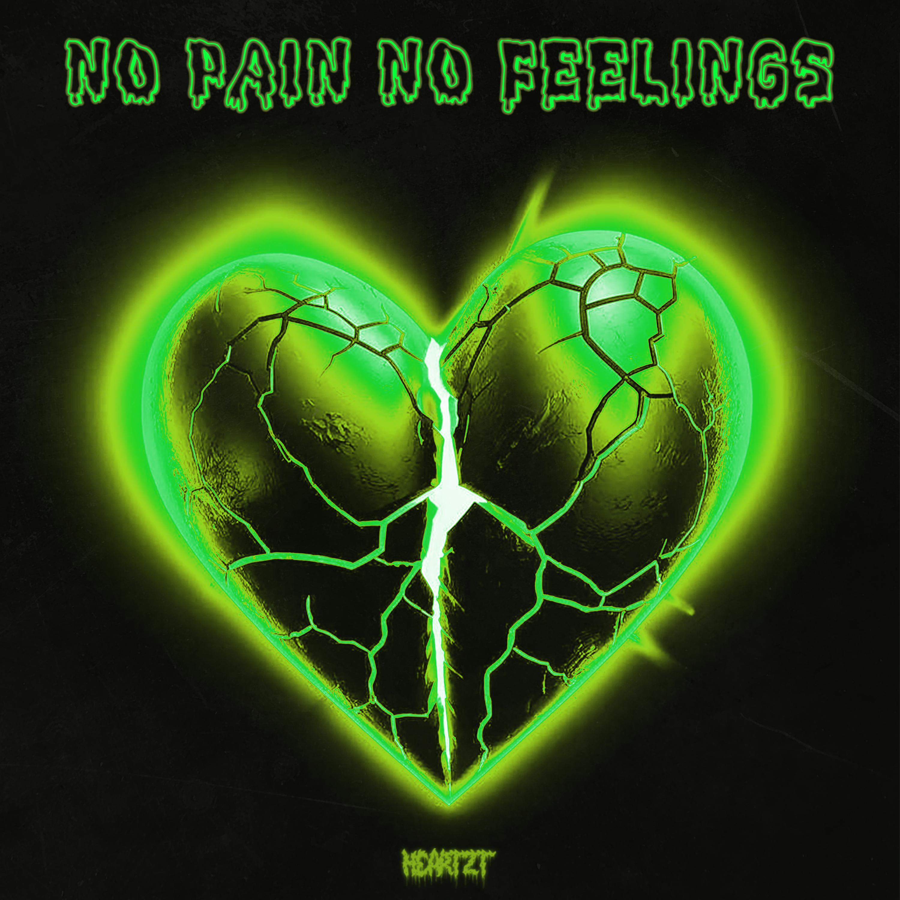Постер альбома No Pain No Feelings