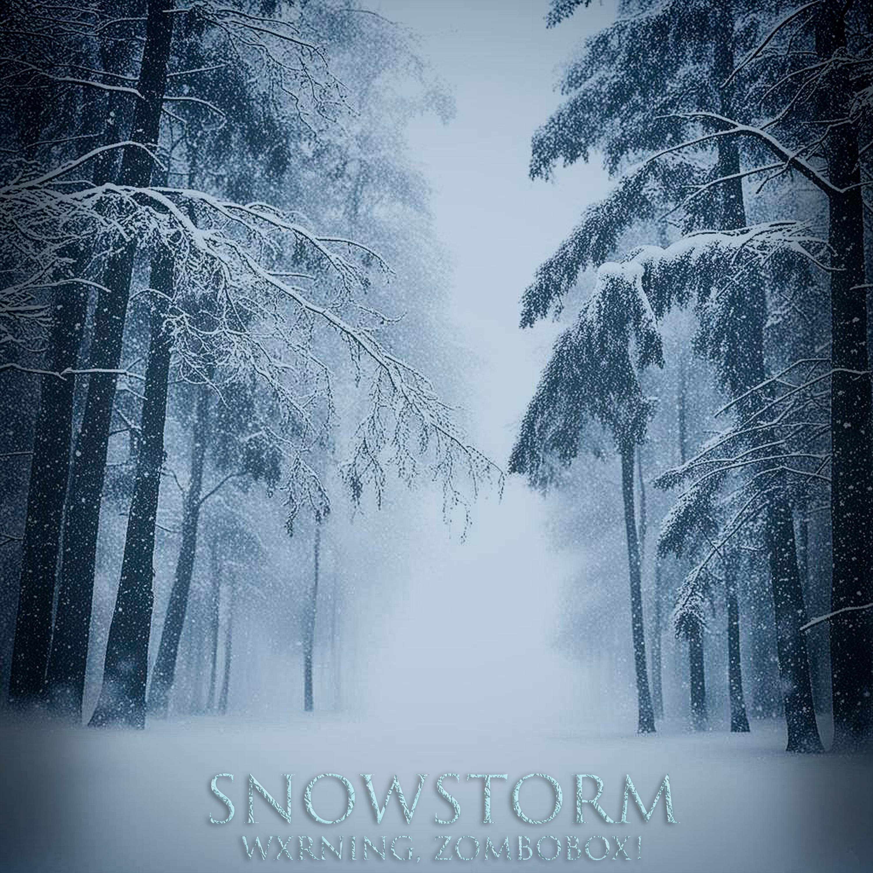 Постер альбома snowstorm