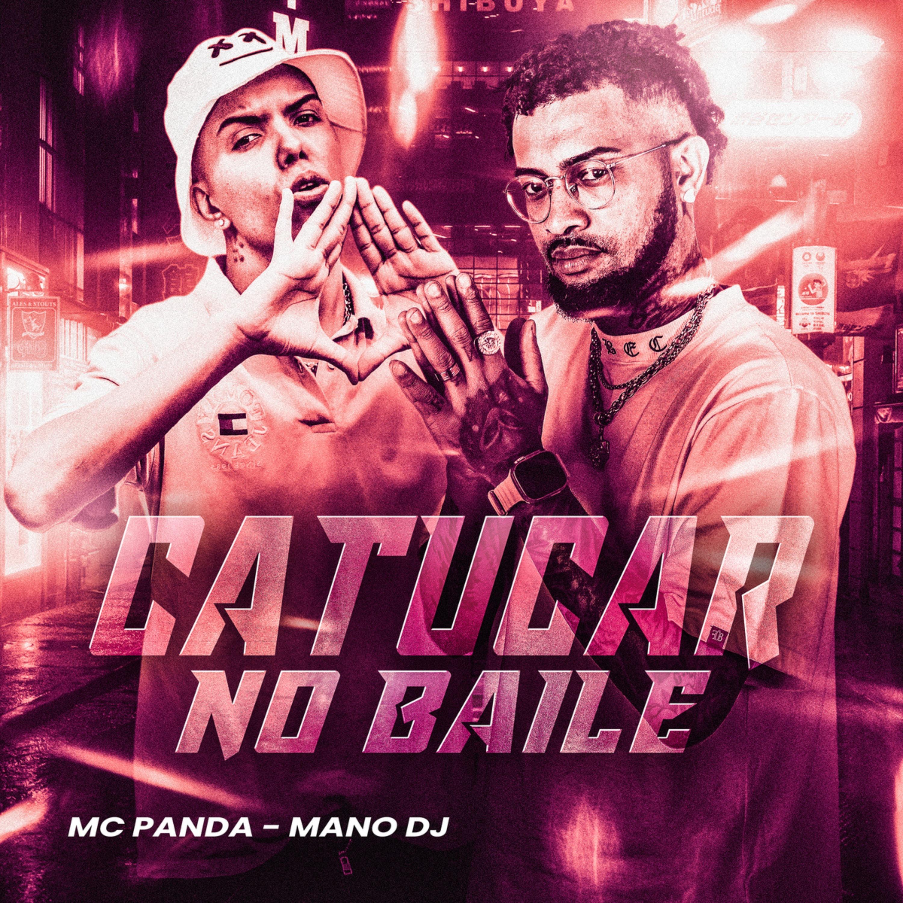 Постер альбома Catucar no Baile