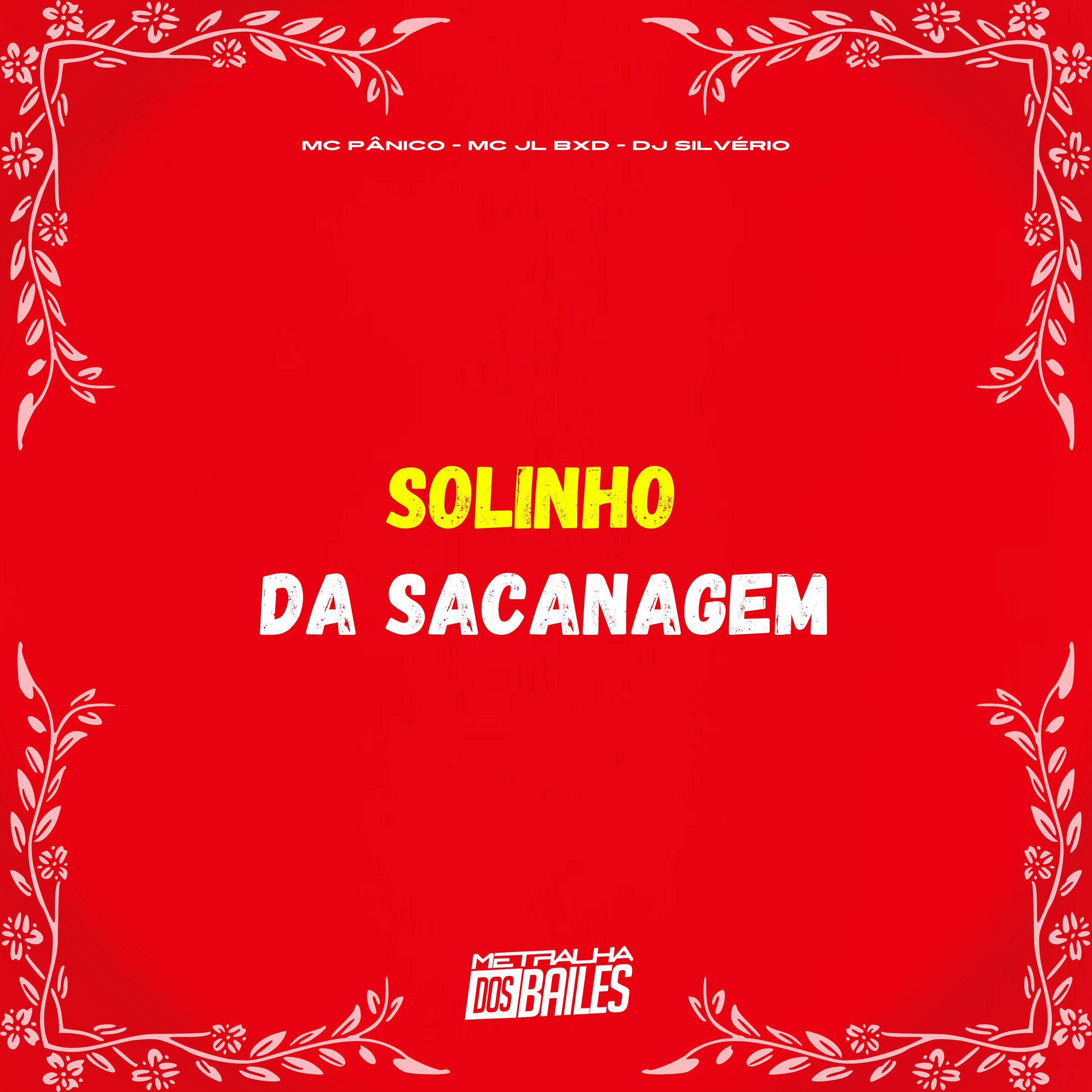 Постер альбома Solinho da Sacanagem