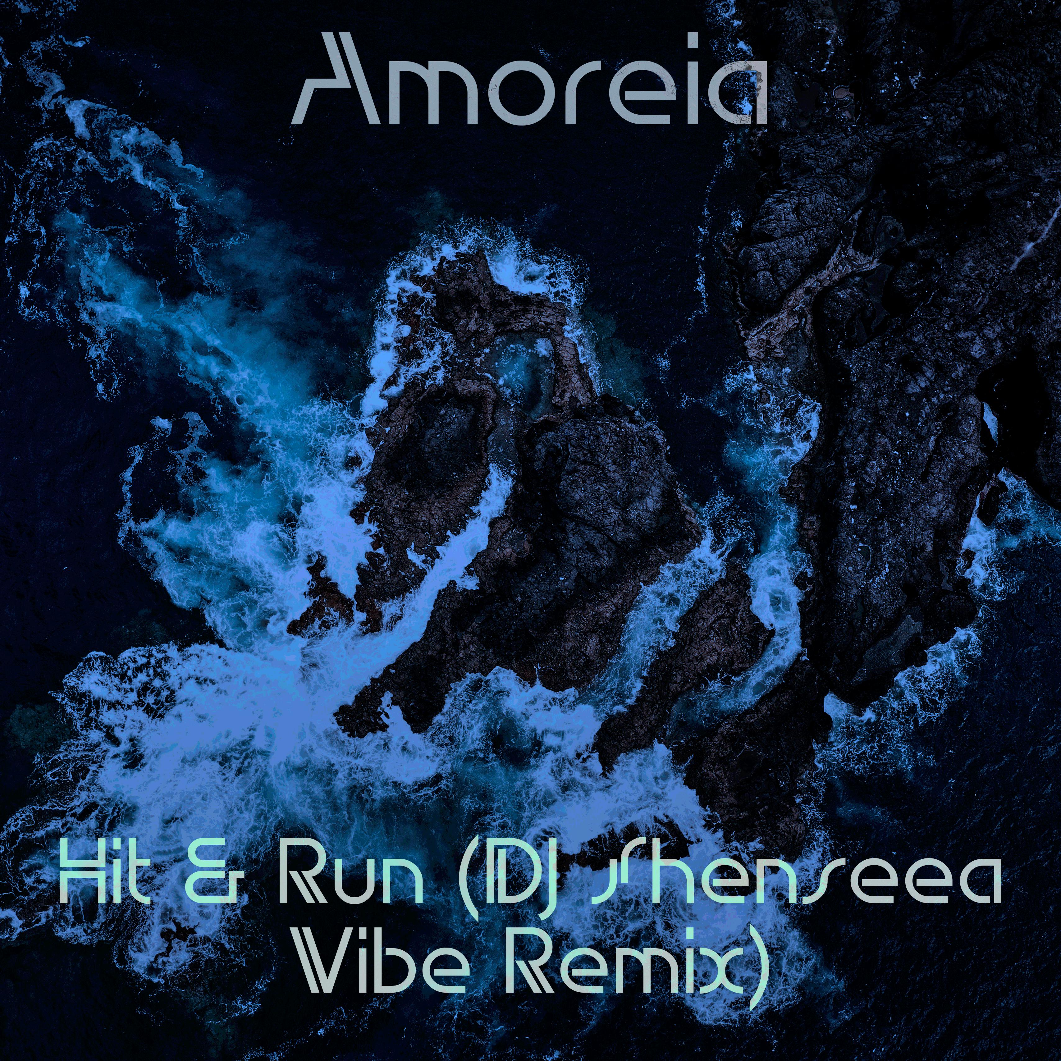 Постер альбома Hit & Run (DJ Shenseea Vibe Remix)