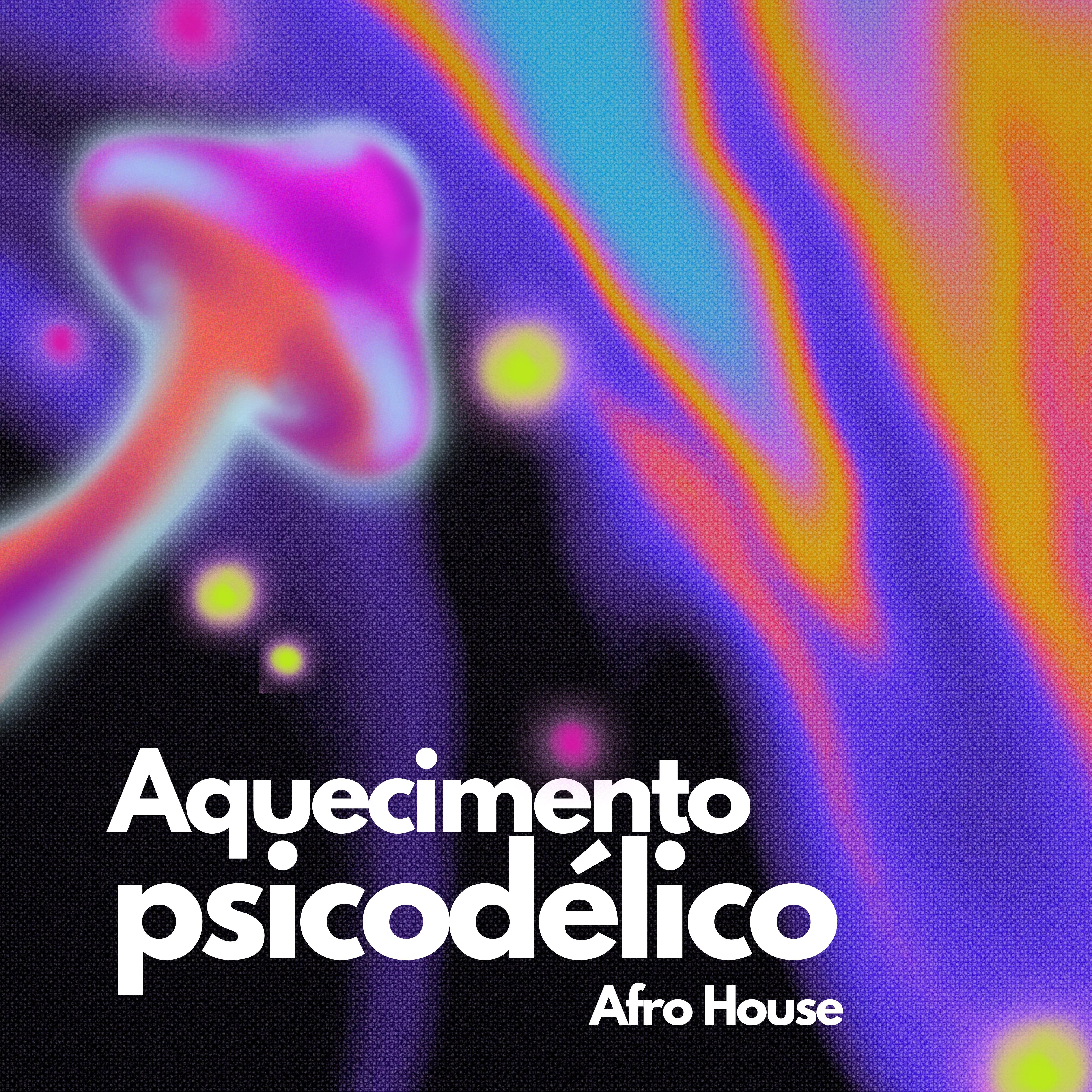 Постер альбома Aquecimento Psicodélico Afro House