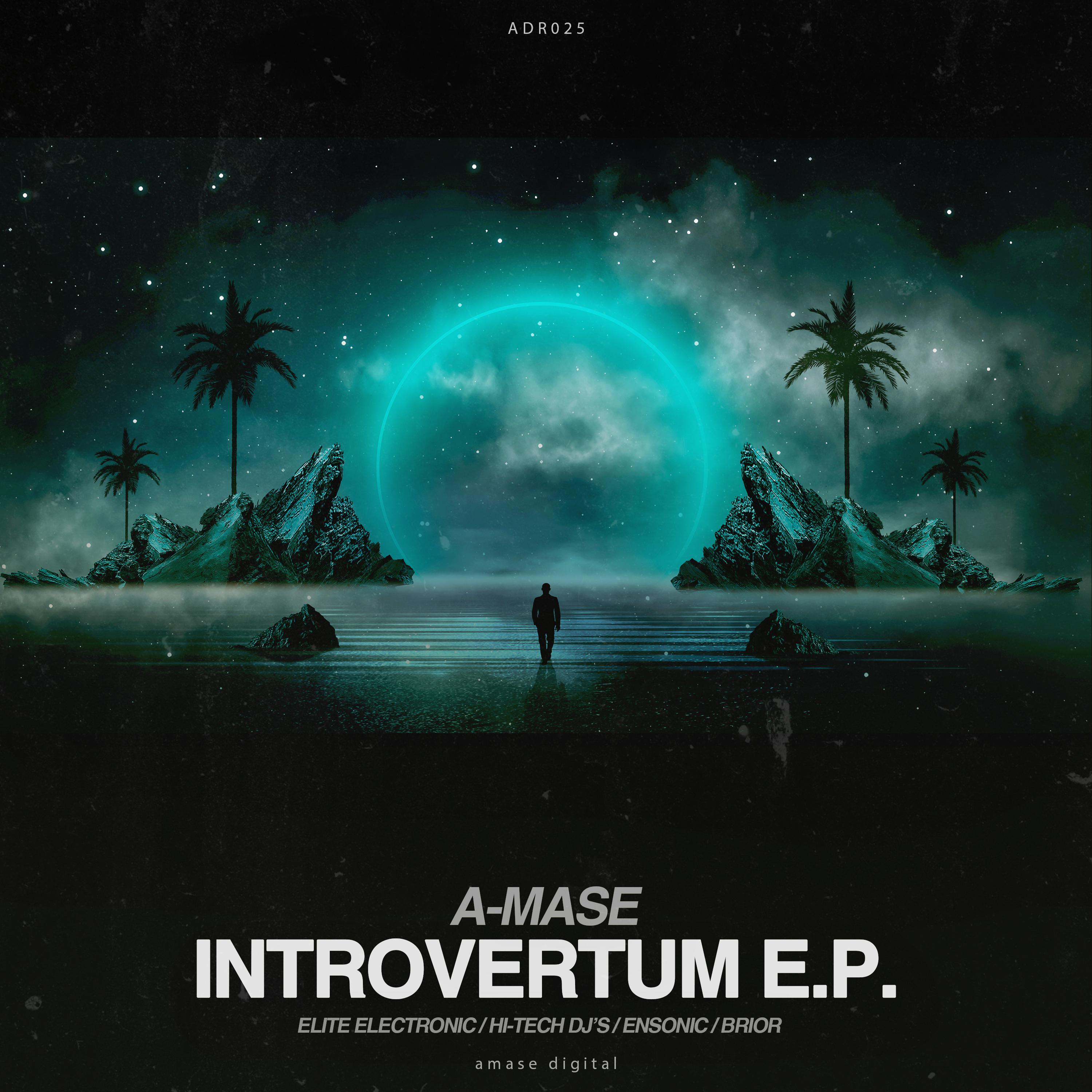 Постер альбома Introvertum Remixes