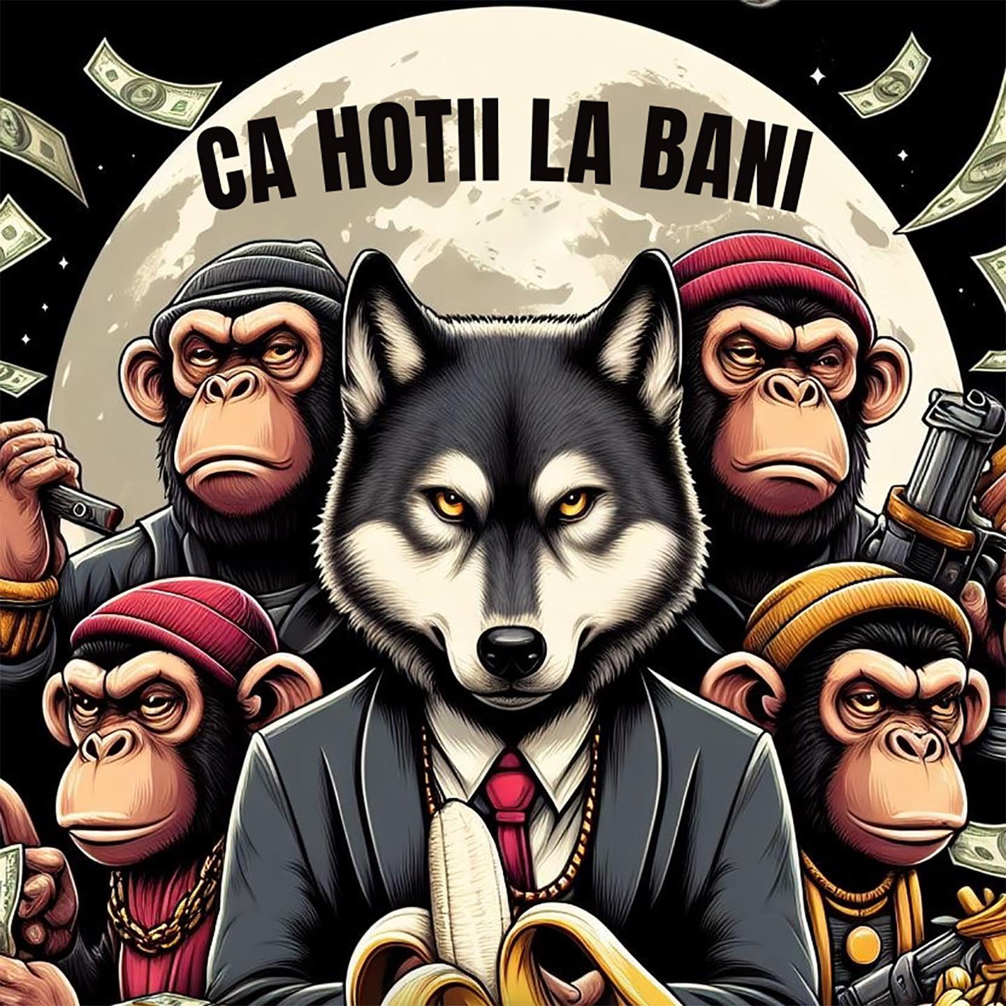 Постер альбома Ca Hotii La Bani