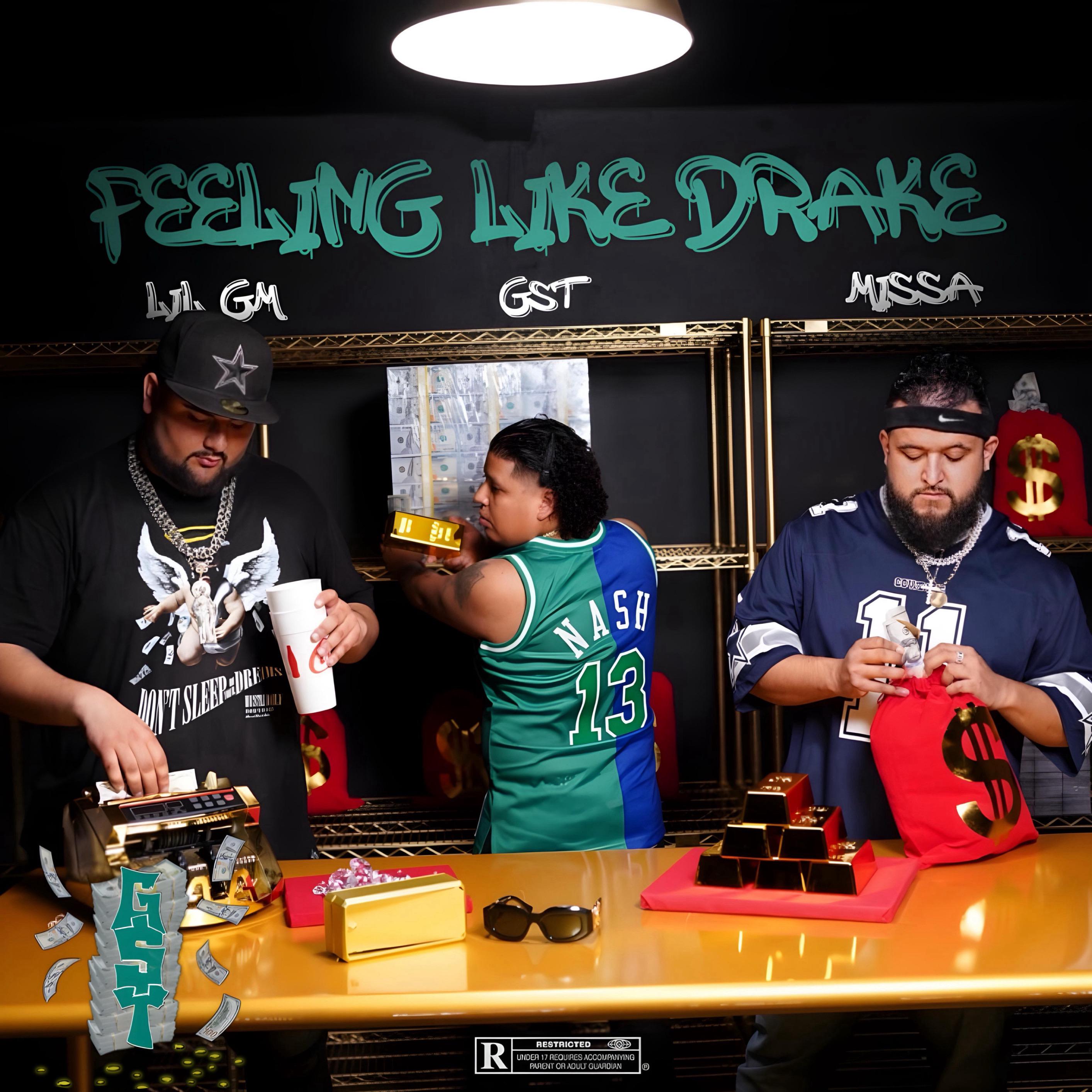 Постер альбома Feeling Like Drake (feat. Lil GM & Missa)