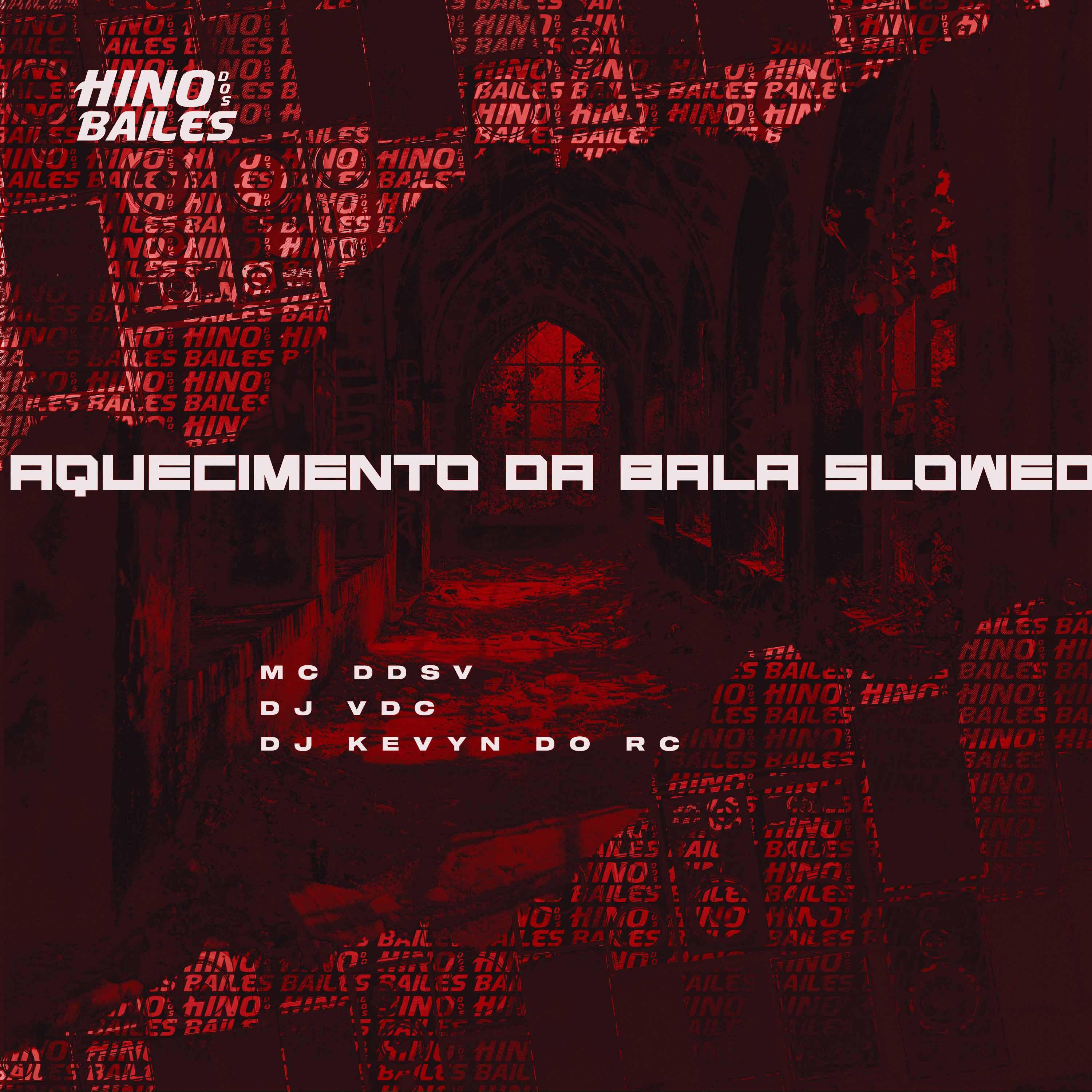 Постер альбома Aquecimento da Bala Slowed