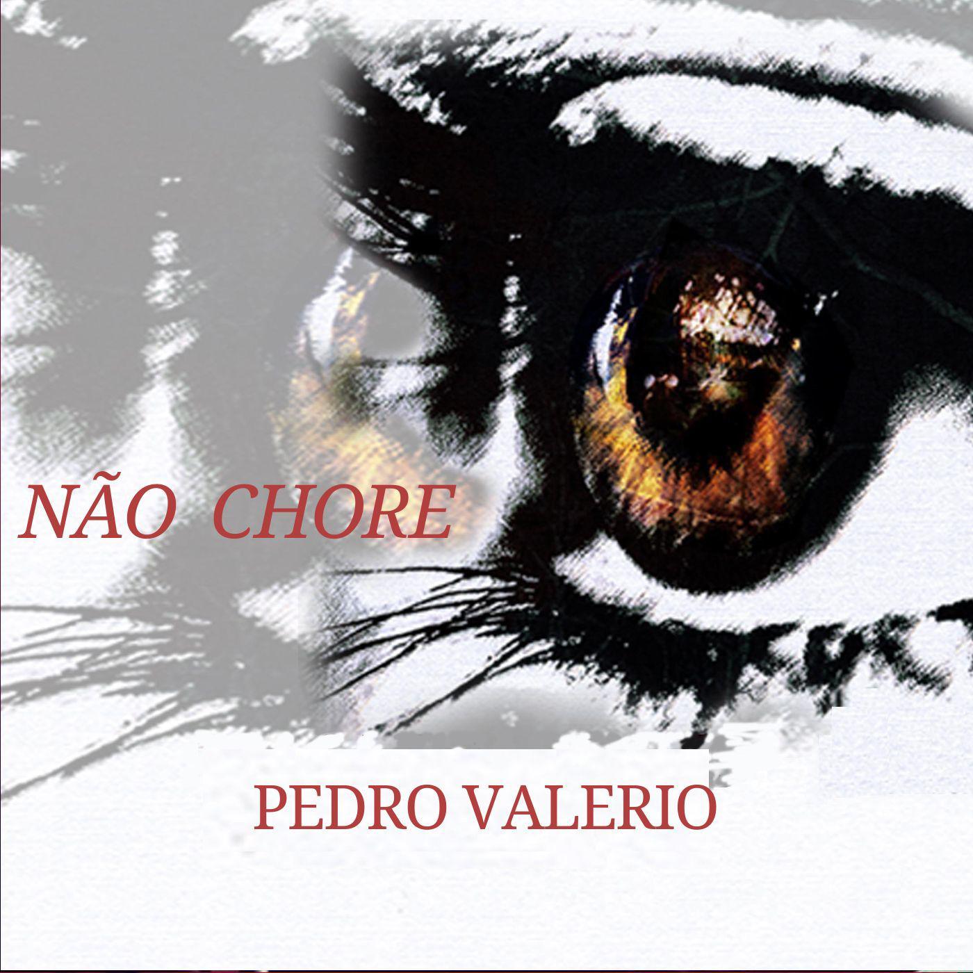 Постер альбома Não Chore