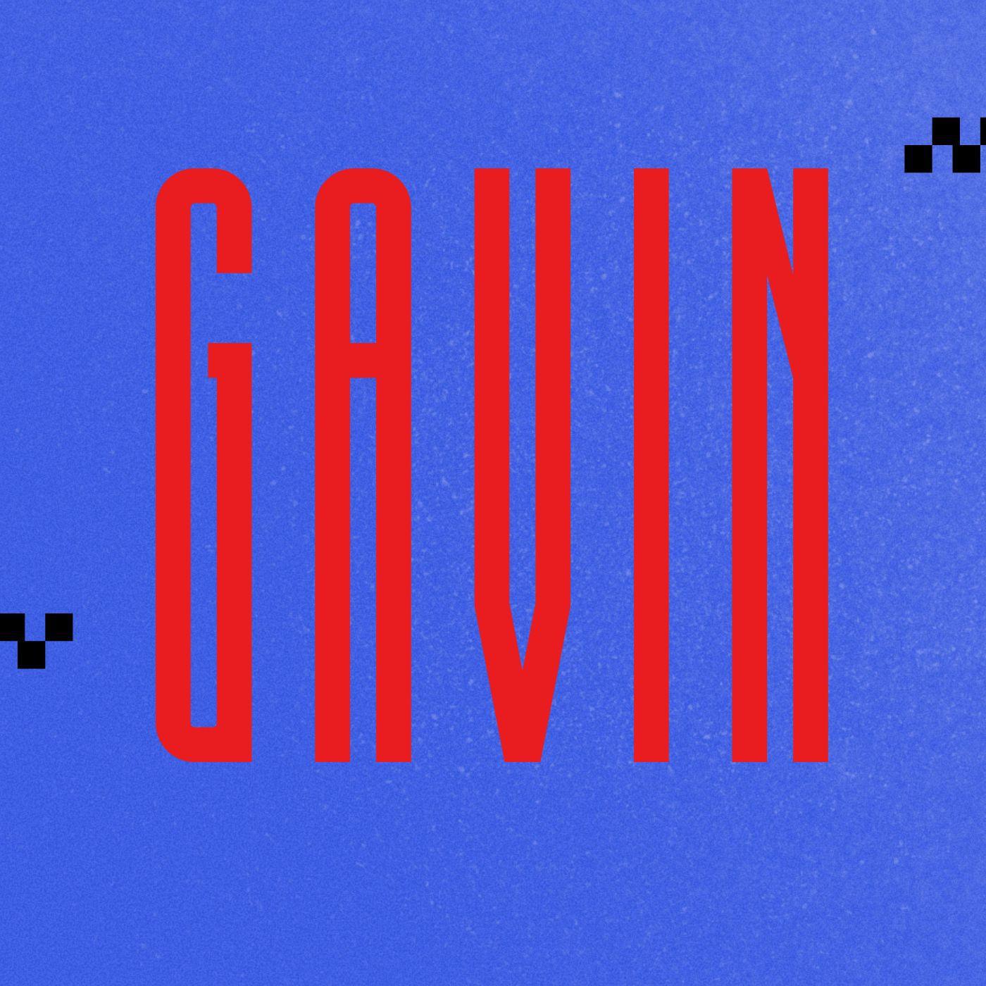 Постер альбома GAVIN